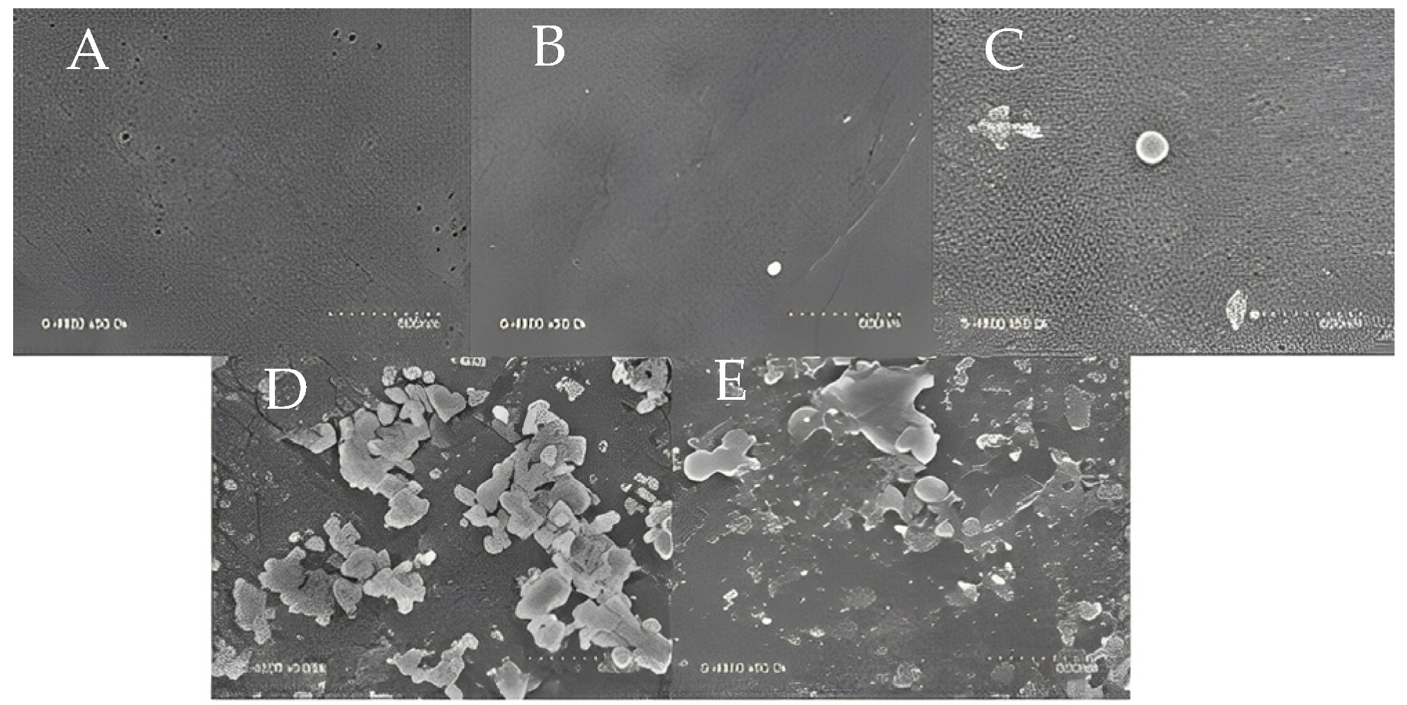 Polymers 15 02636 g001 Polymers 15 02636 g001