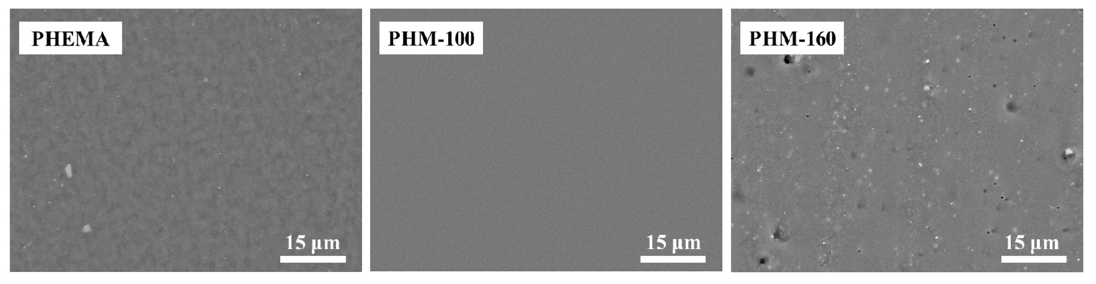 Polymers 15 02637 g002