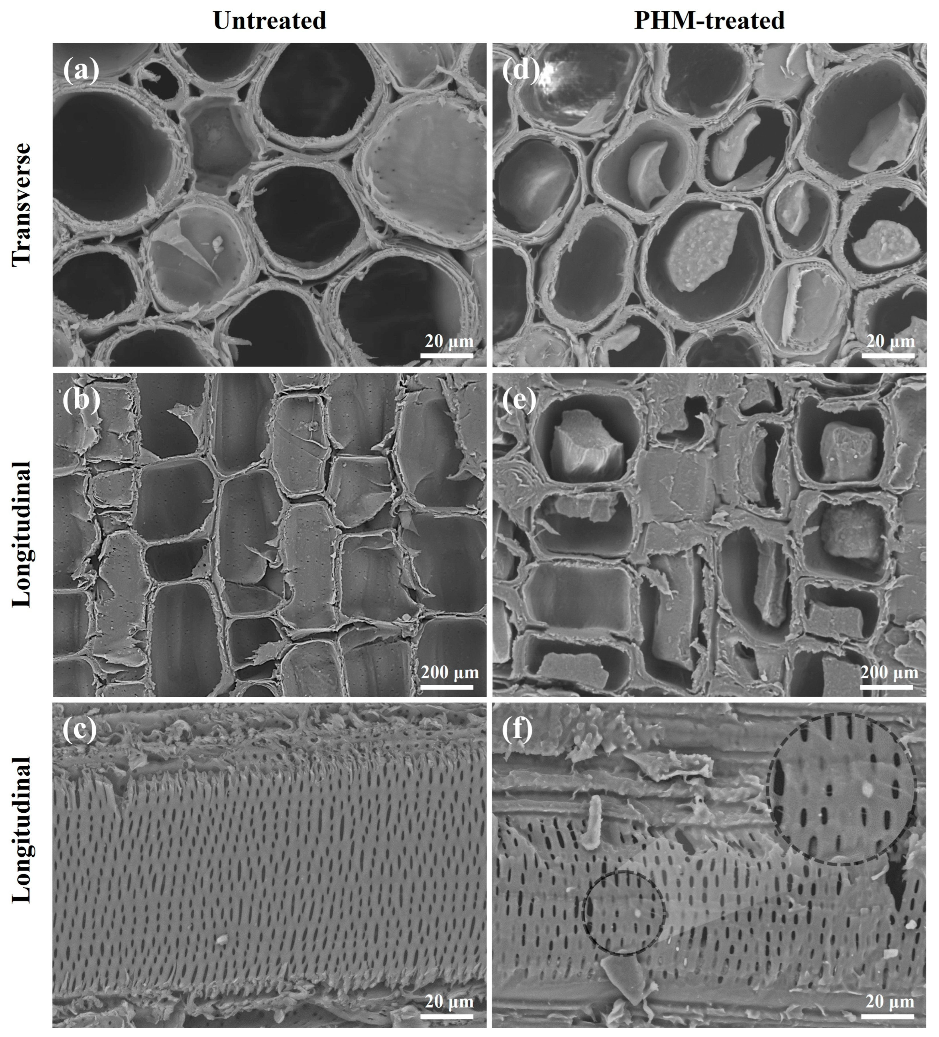 Polymers 15 02637 g010