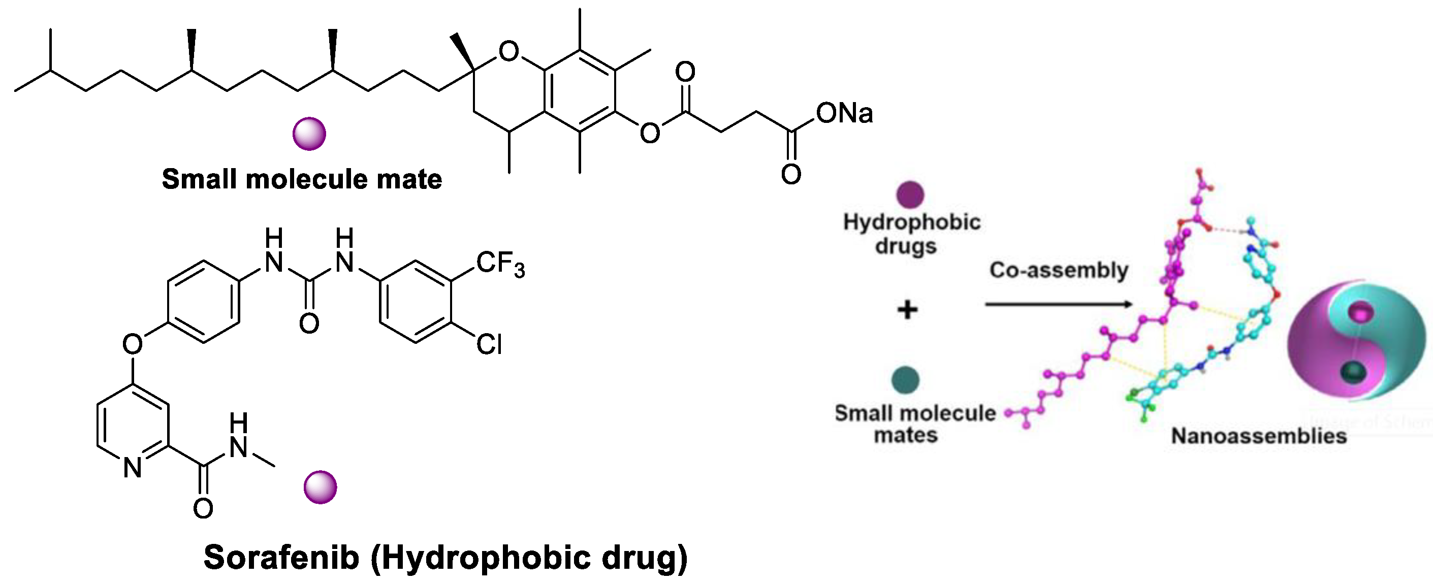 Polymers 15 02638 g012 Polymers 15 02638 g012