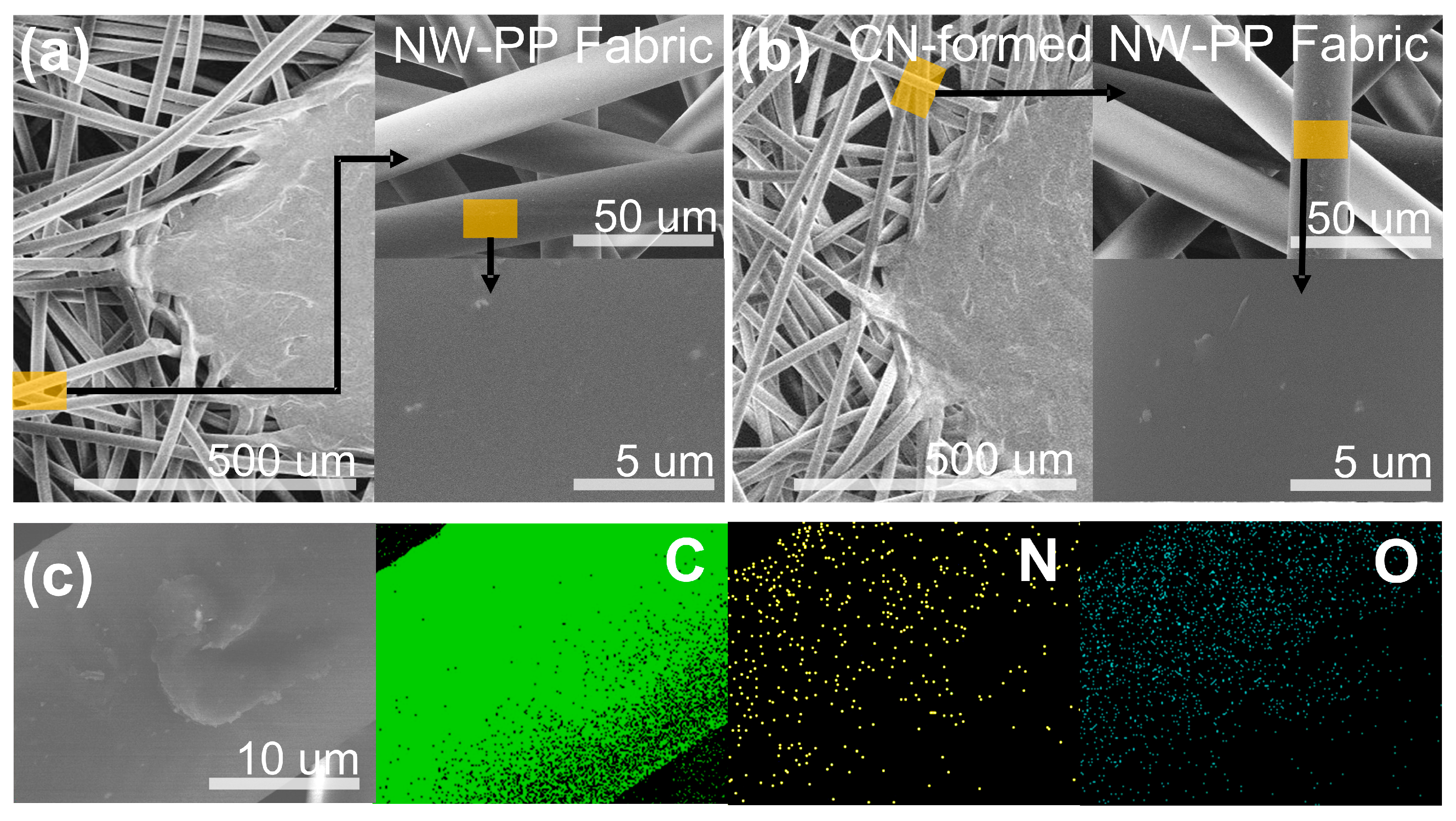 Polymers 15 02641 g003