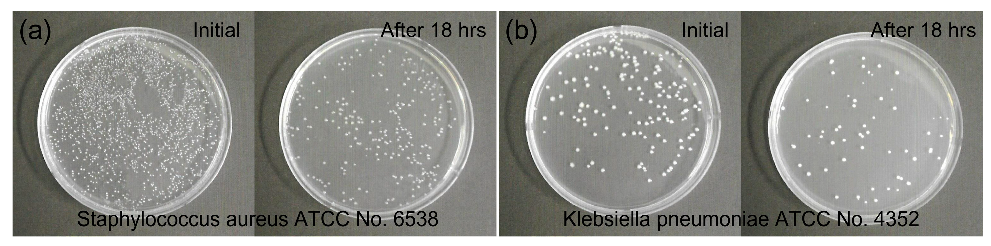 Polymers 15 02641 g006