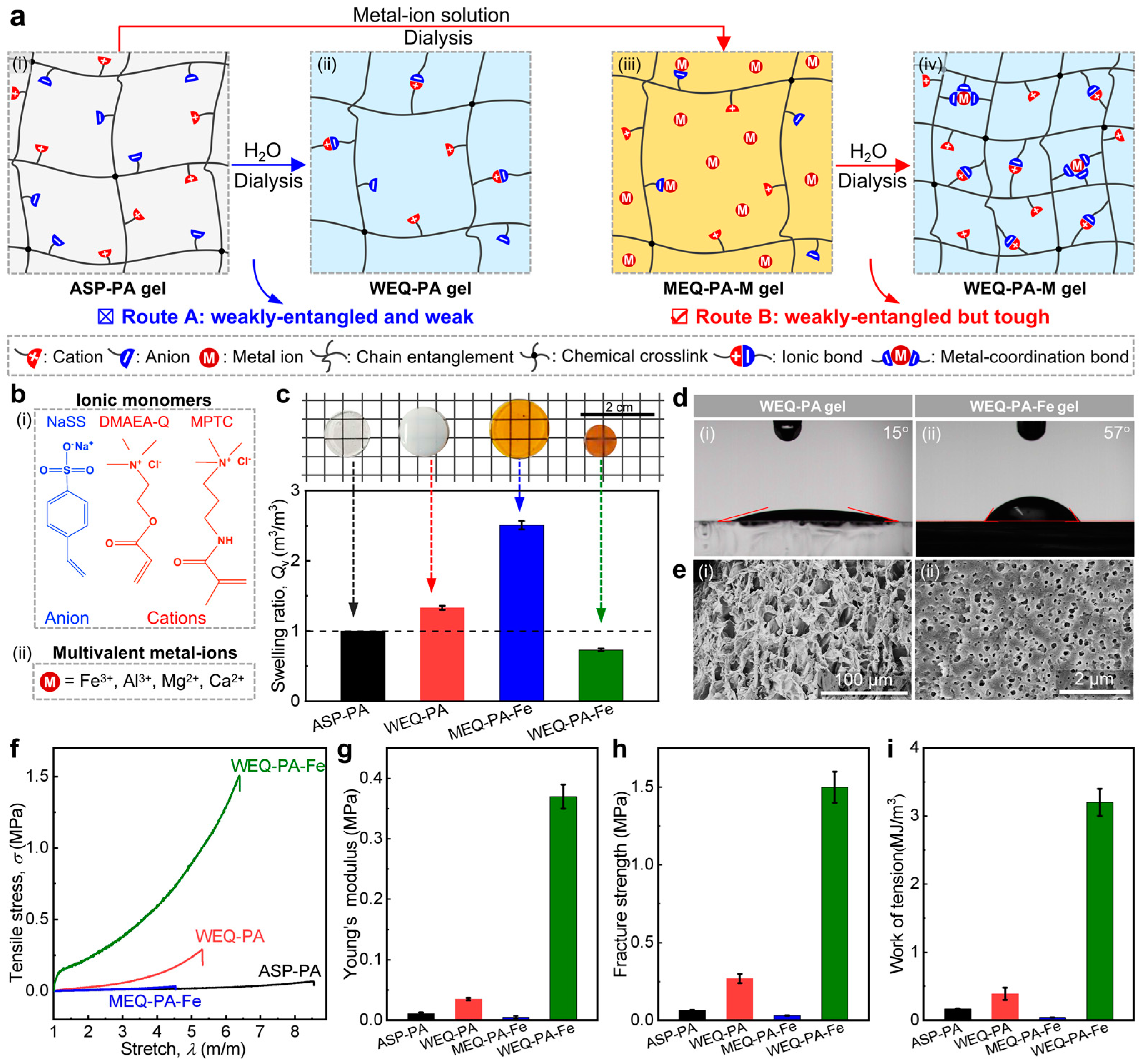 Polymers 15 02644 g001 Polymers 15 02644 g001