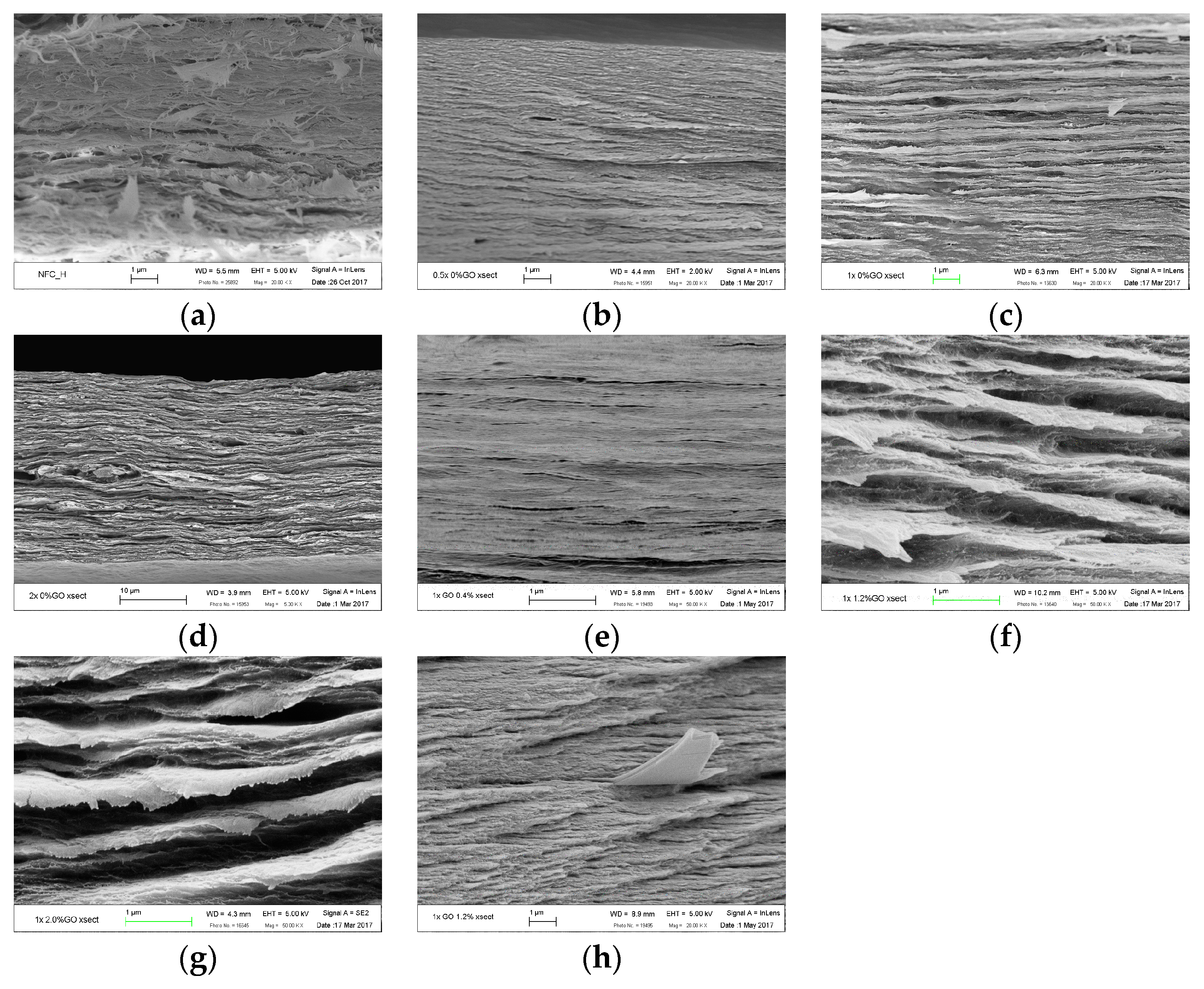 Polymers 15 02646 g006