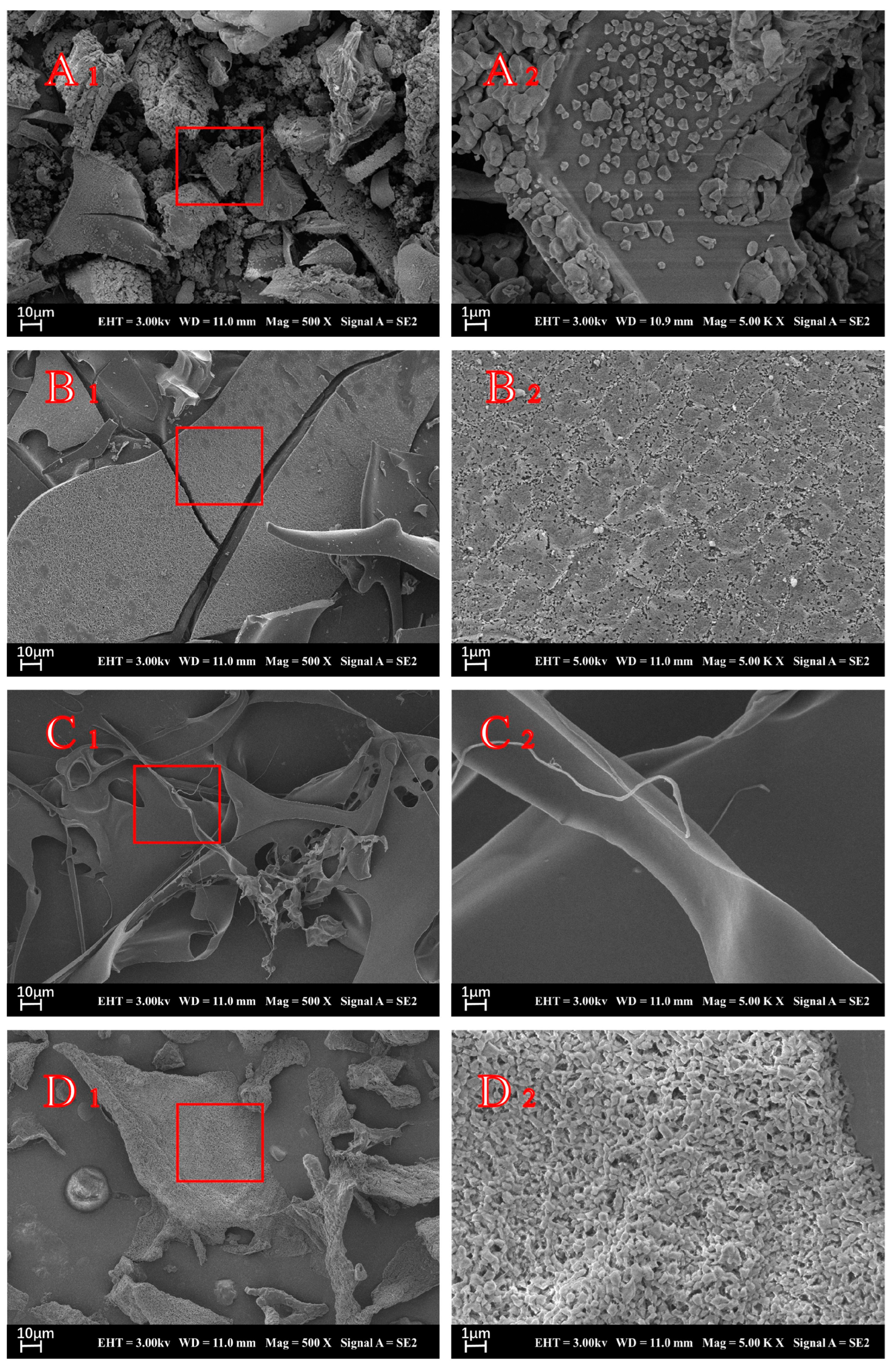 Polymers 15 02648 g002