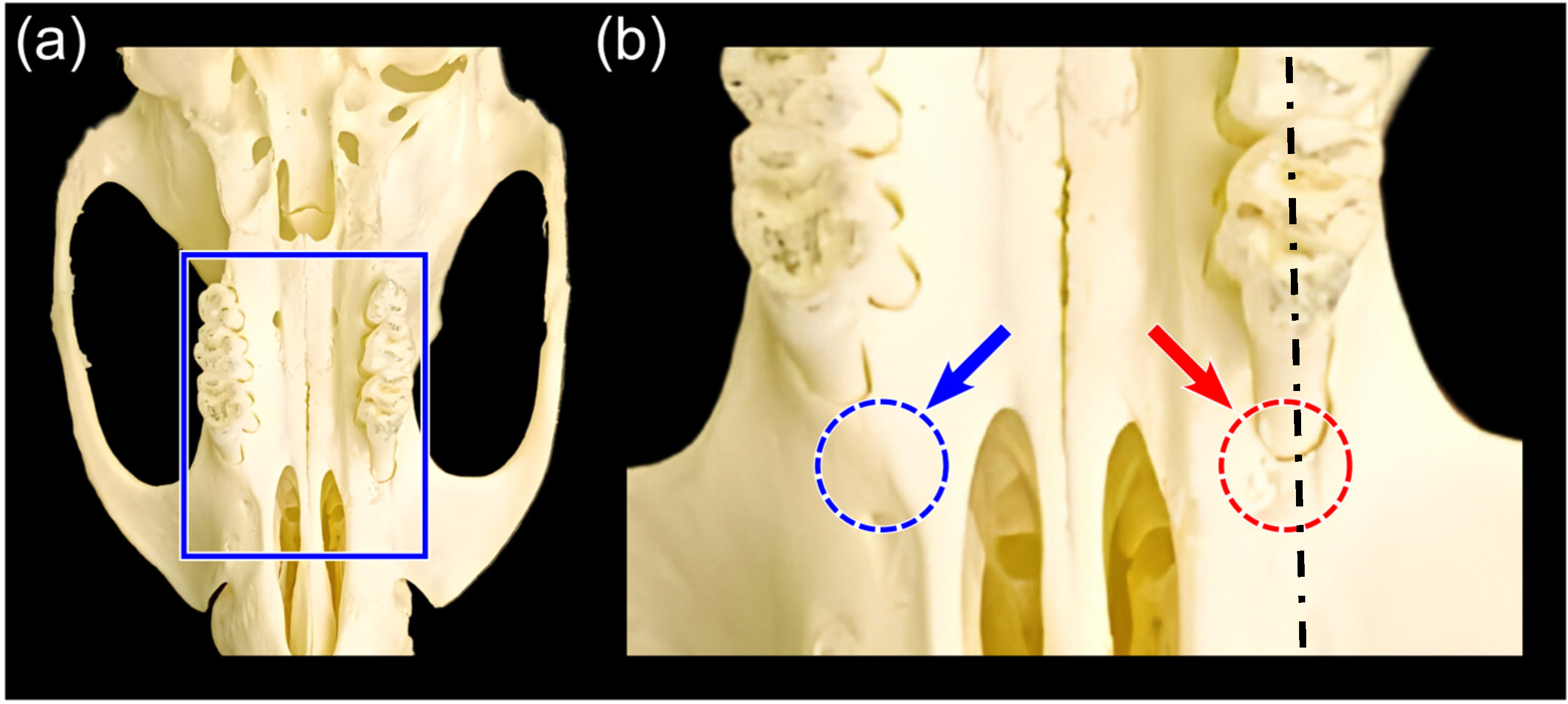 Polymers 15 02649 g001 Polymers 15 02649 g001