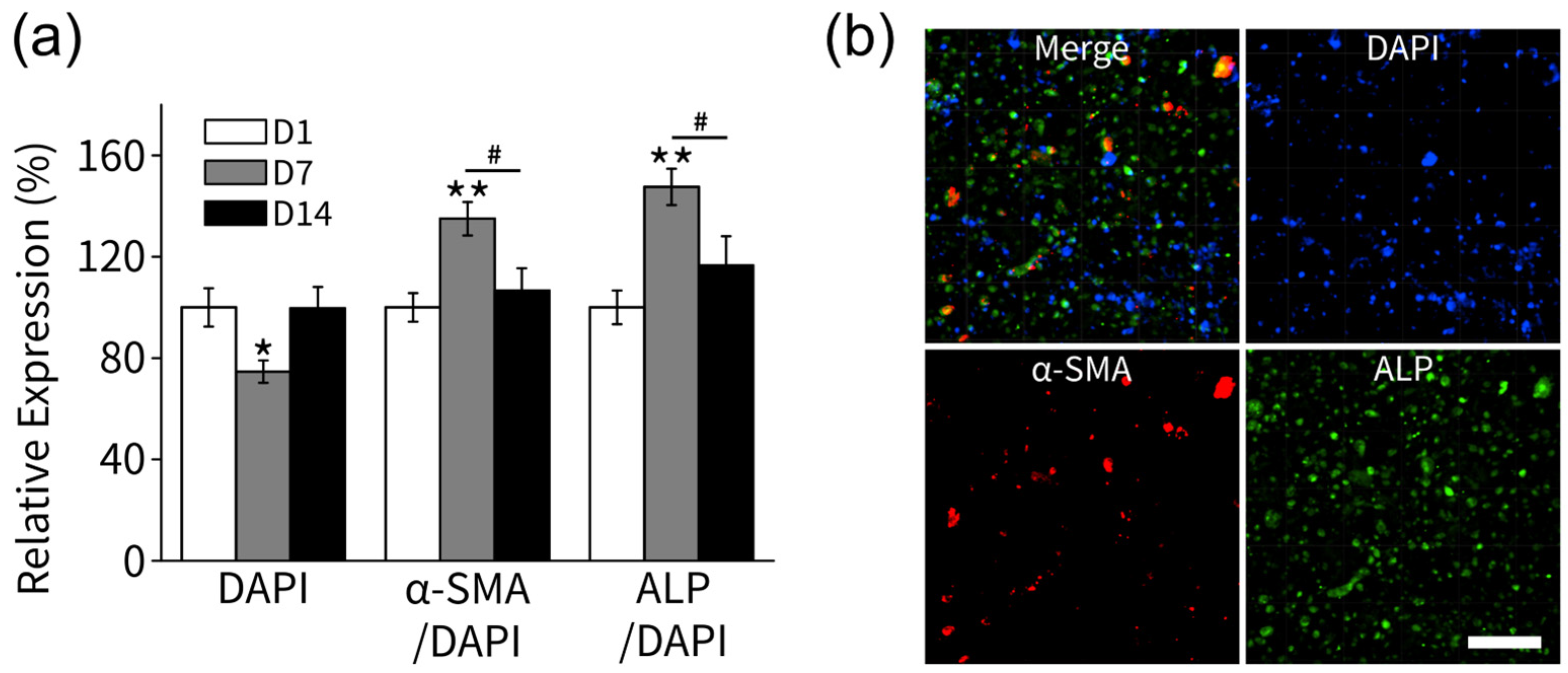 Polymers 15 02649 g004 Polymers 15 02649 g004