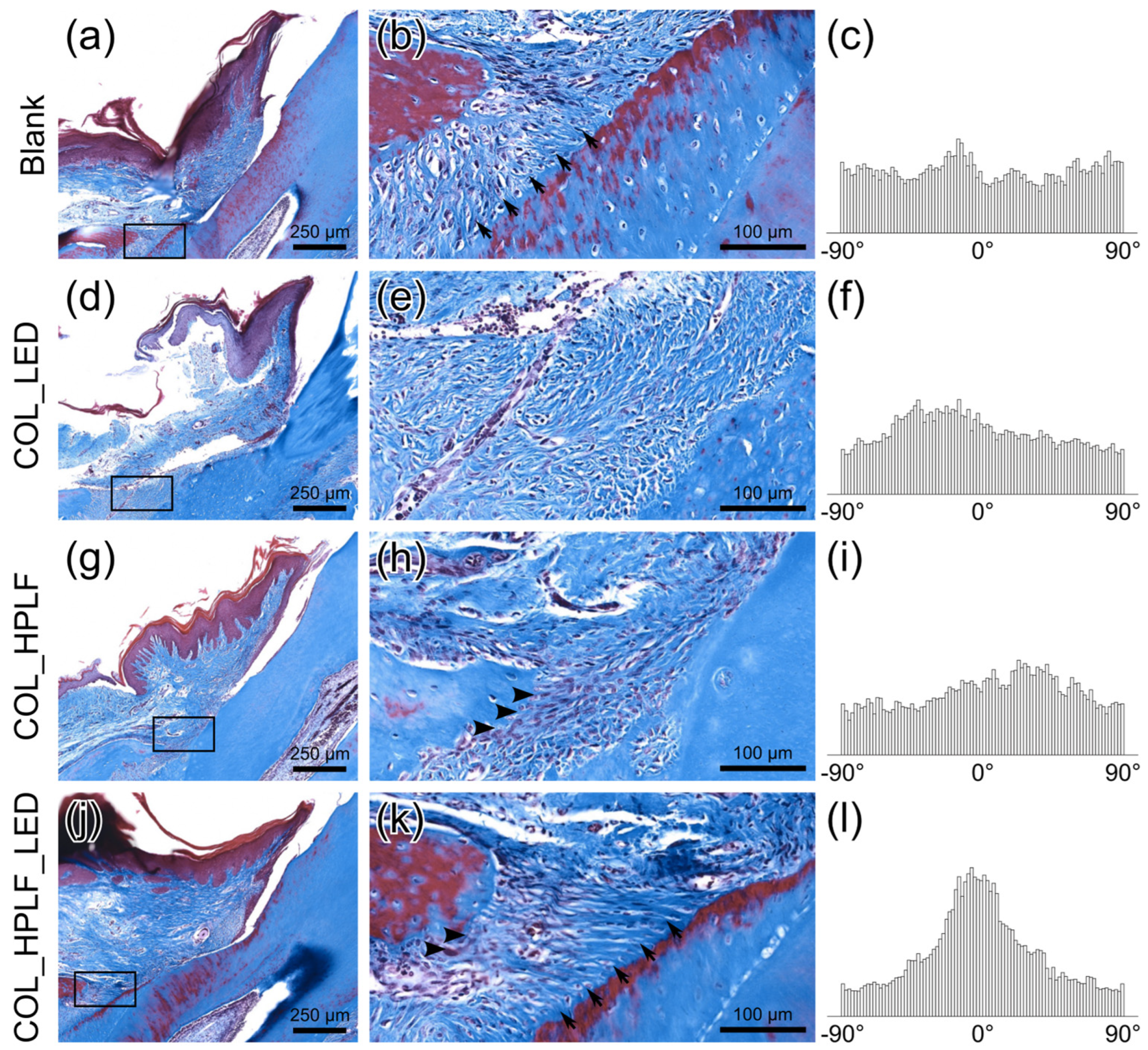 Polymers 15 02649 g005 Polymers 15 02649 g005