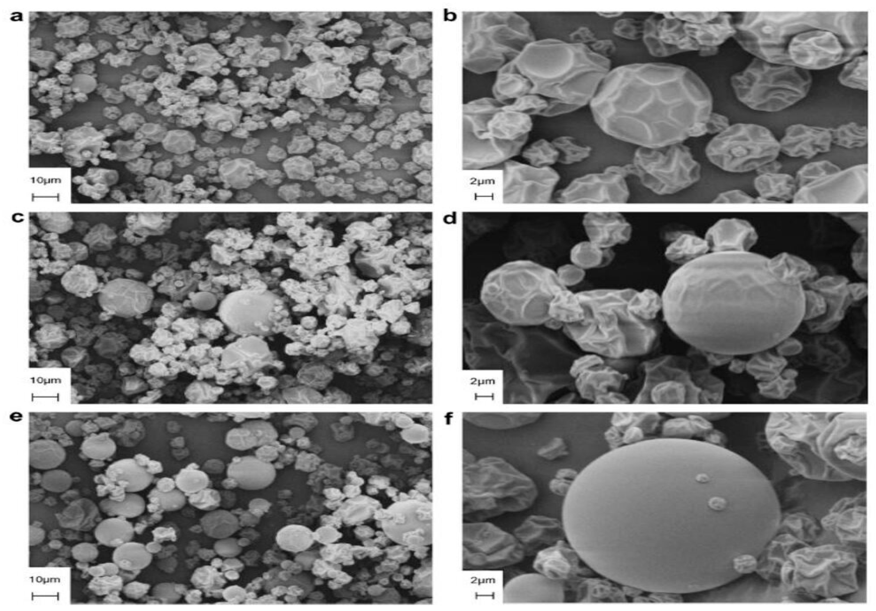 Polymers 15 02654 g002