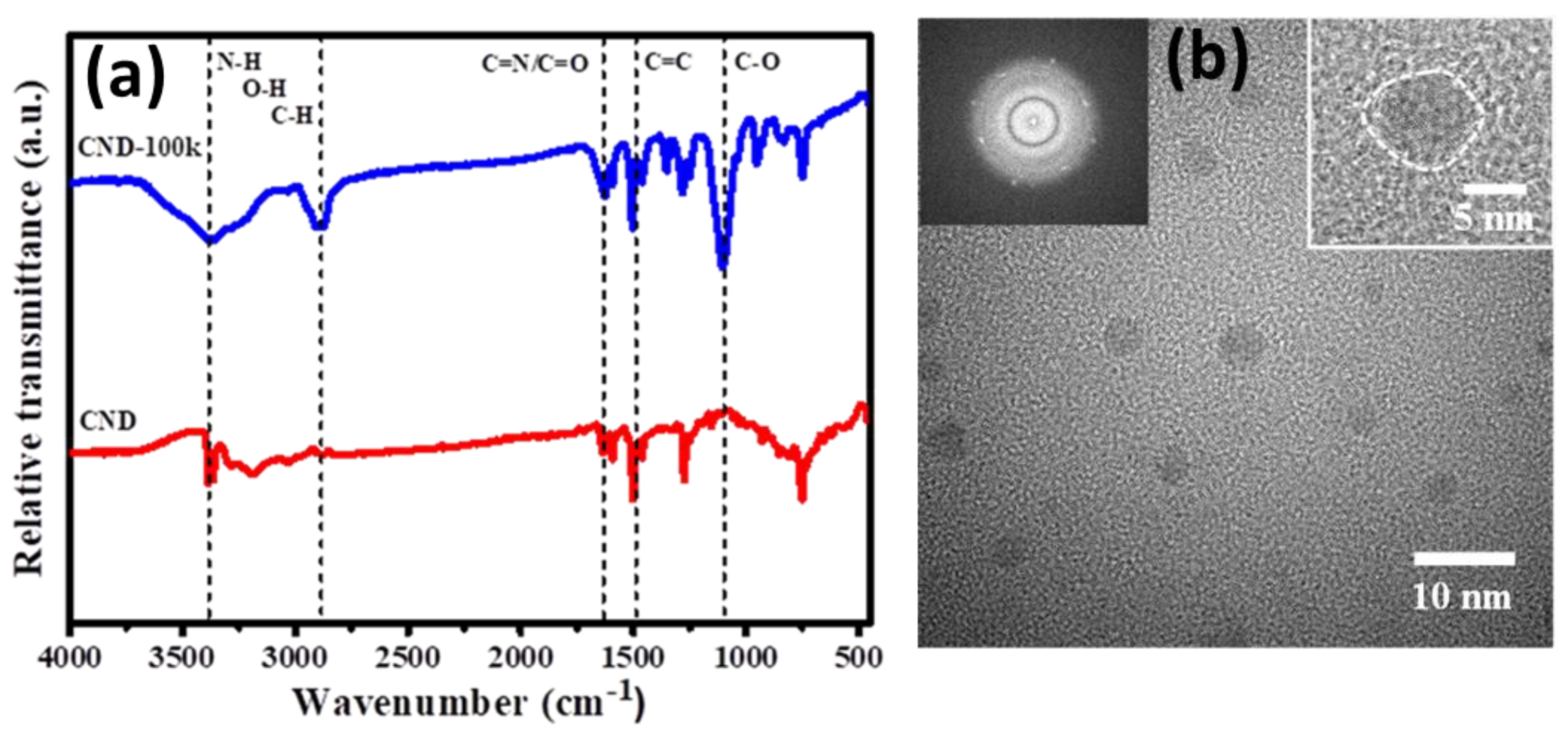 Polymers 15 02655 g002