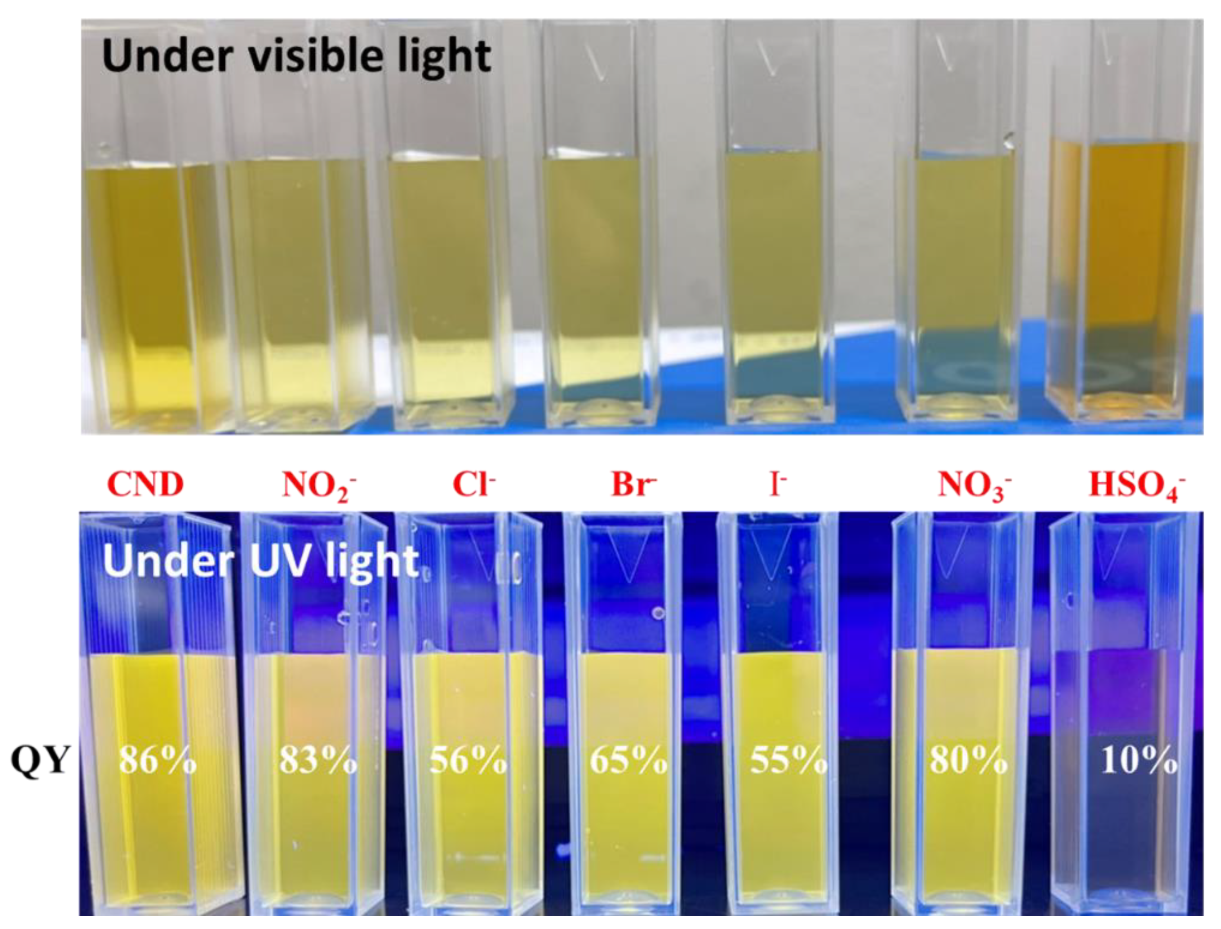 Polymers 15 02655 g003