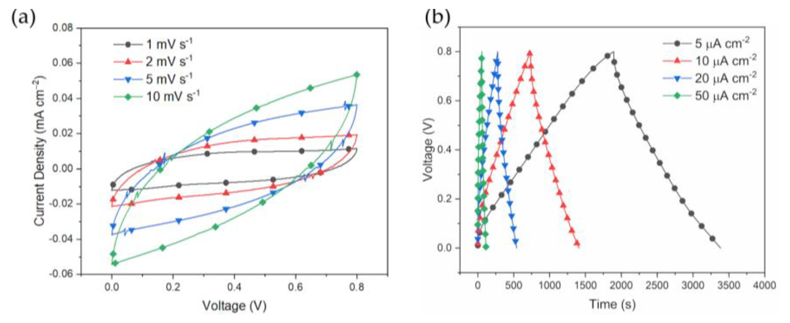 Polymers 15 02657 g004