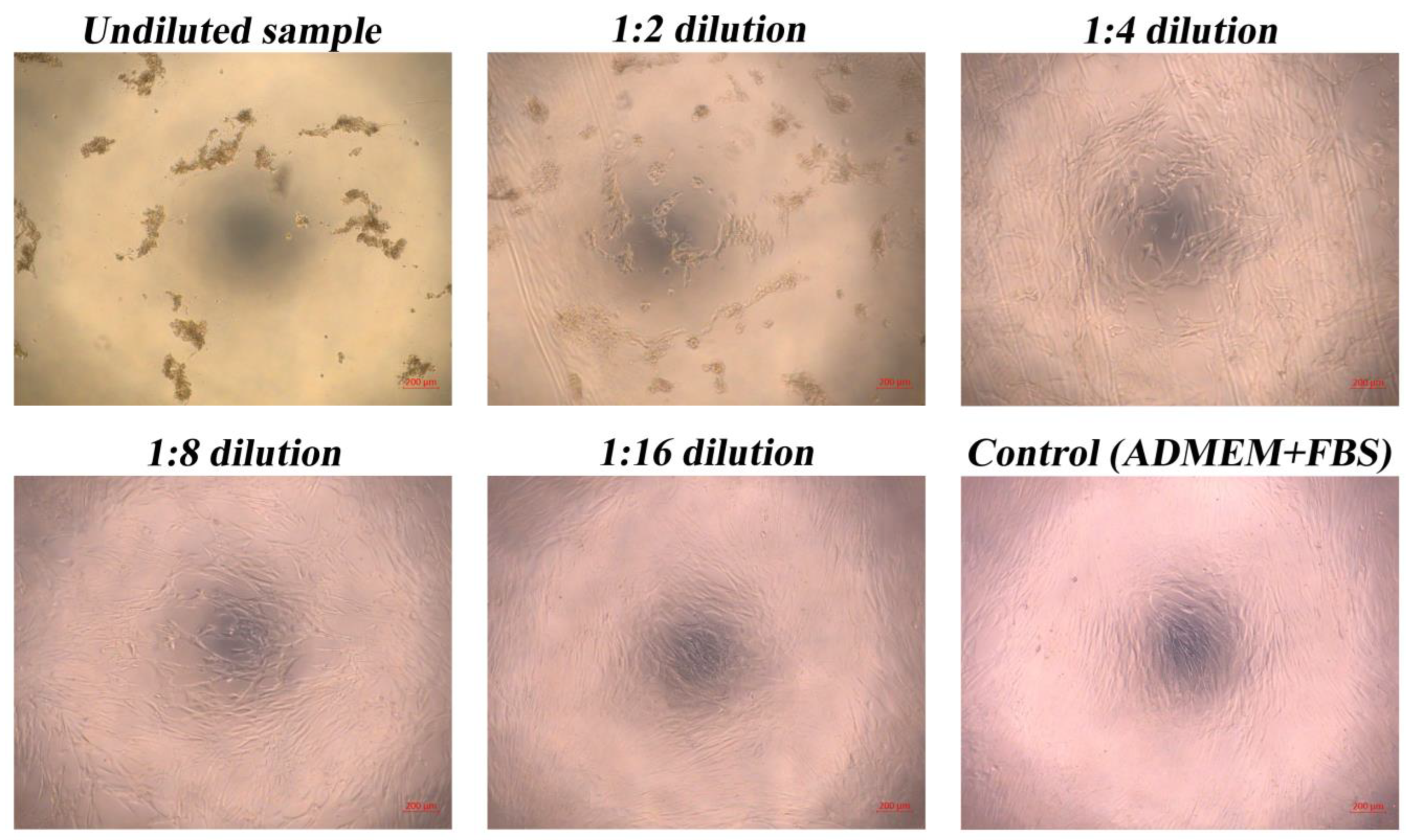 Polymers 15 02658 g008 Polymers 15 02658 g008