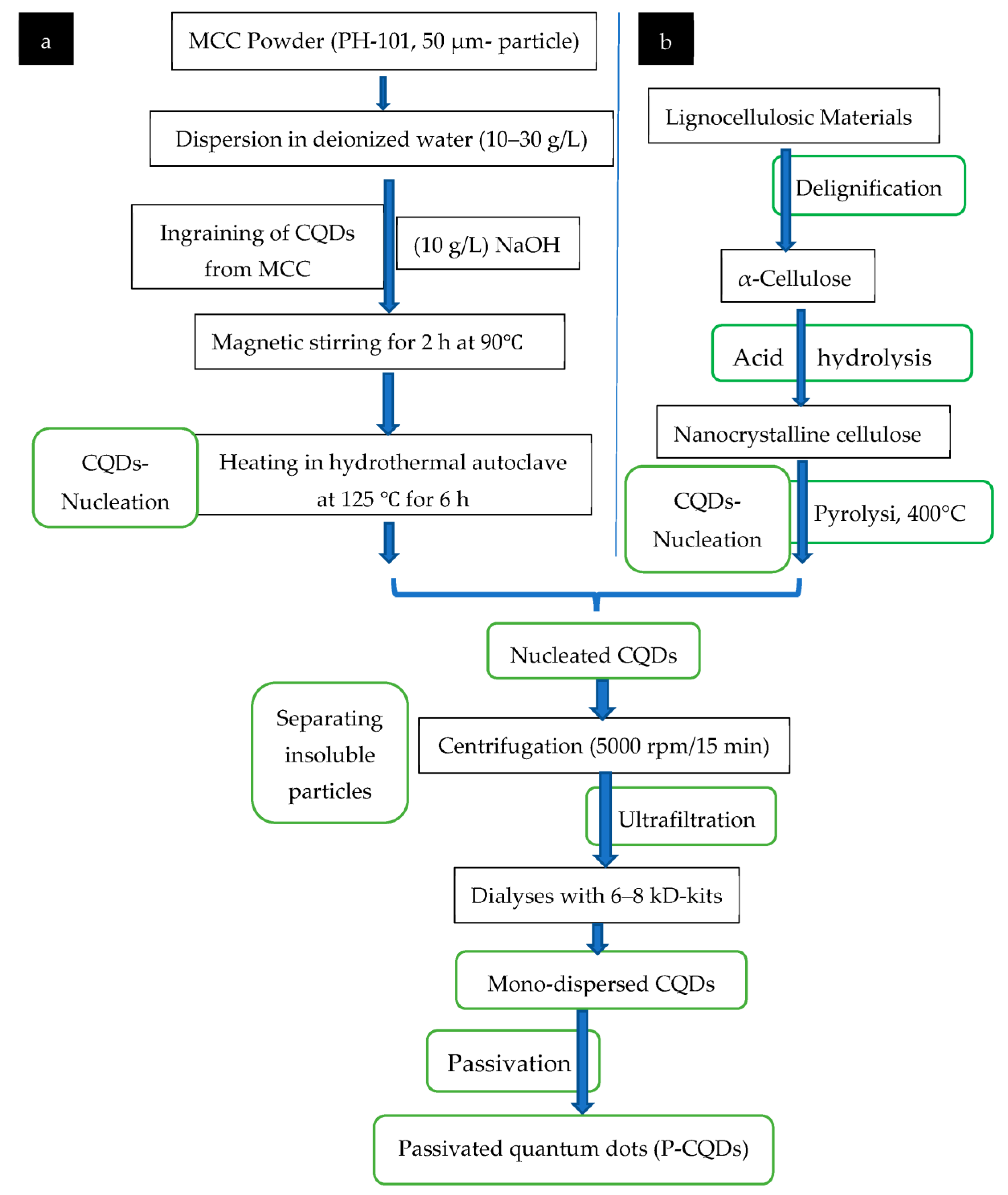 Polymers 15 02660 g006