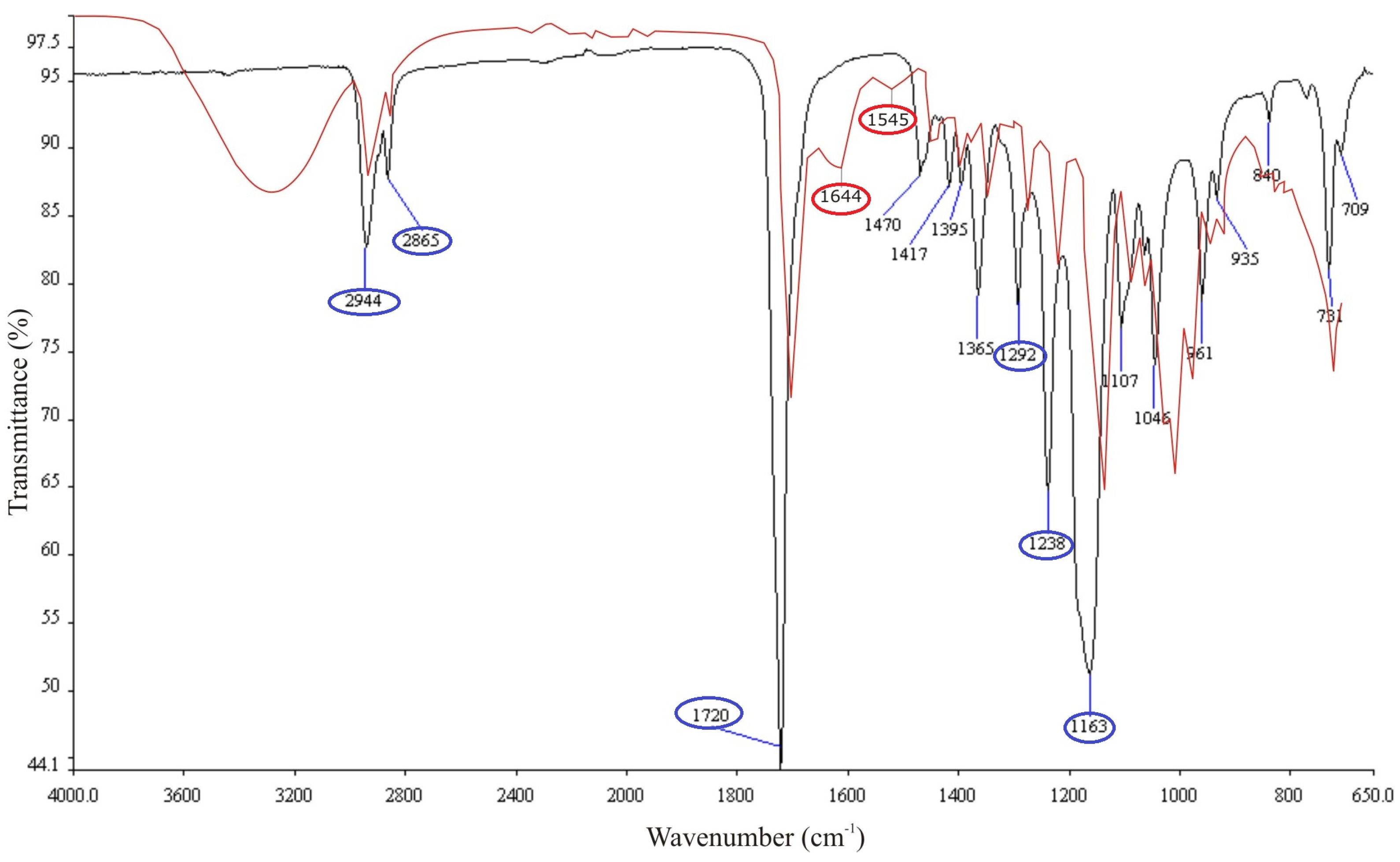 Polymers 15 02663 g002