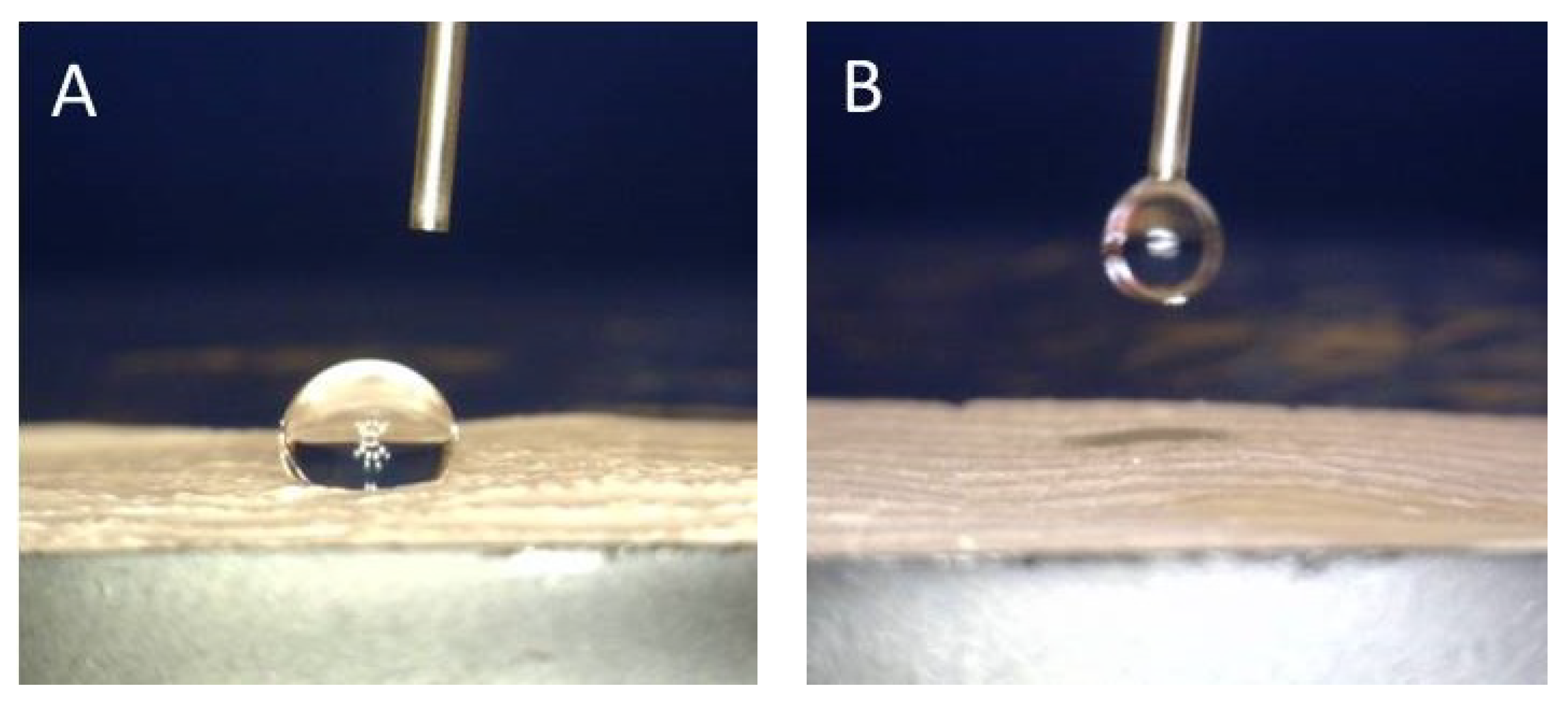Polymers 15 02663 g005