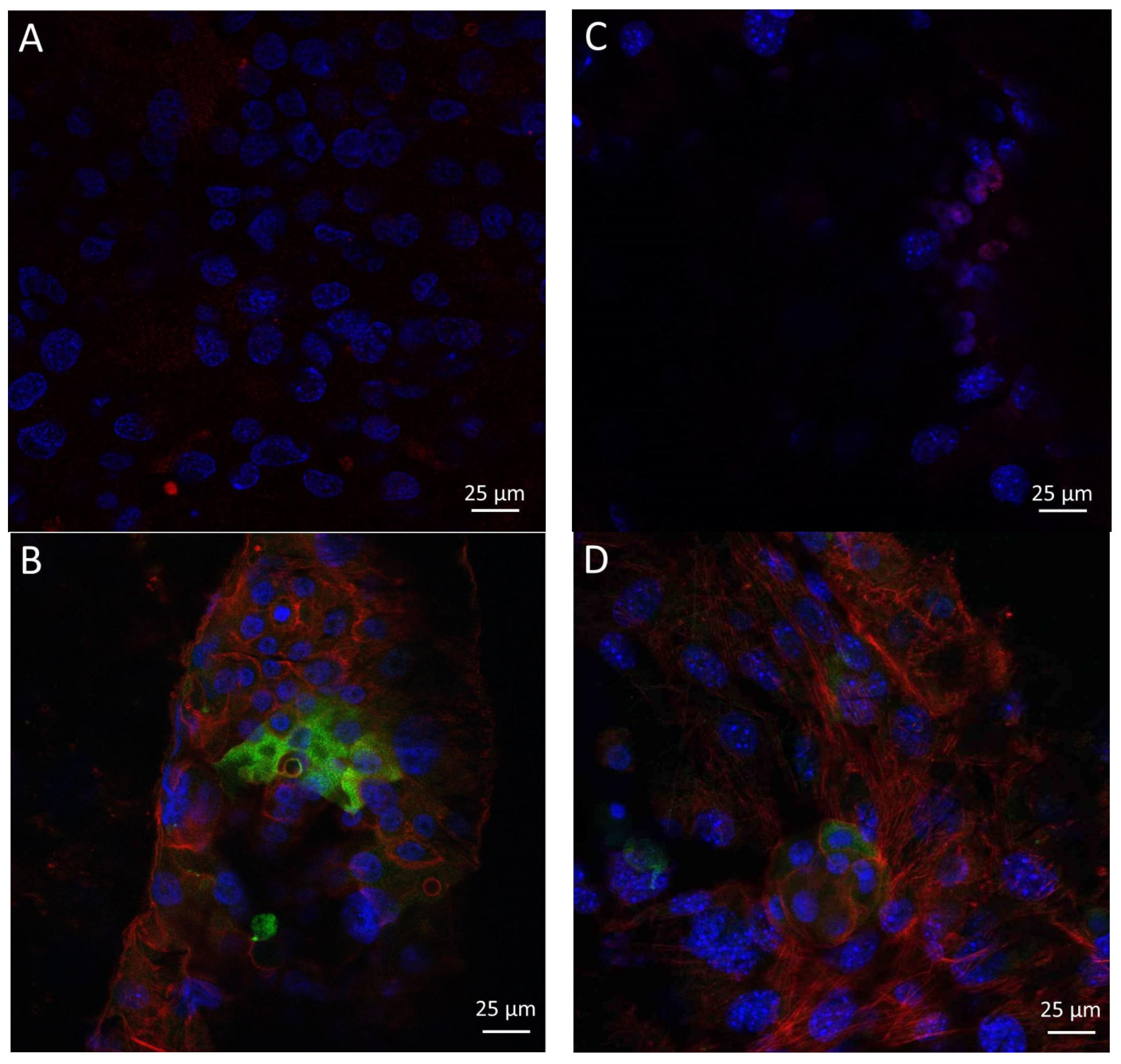 Polymers 15 02663 g010