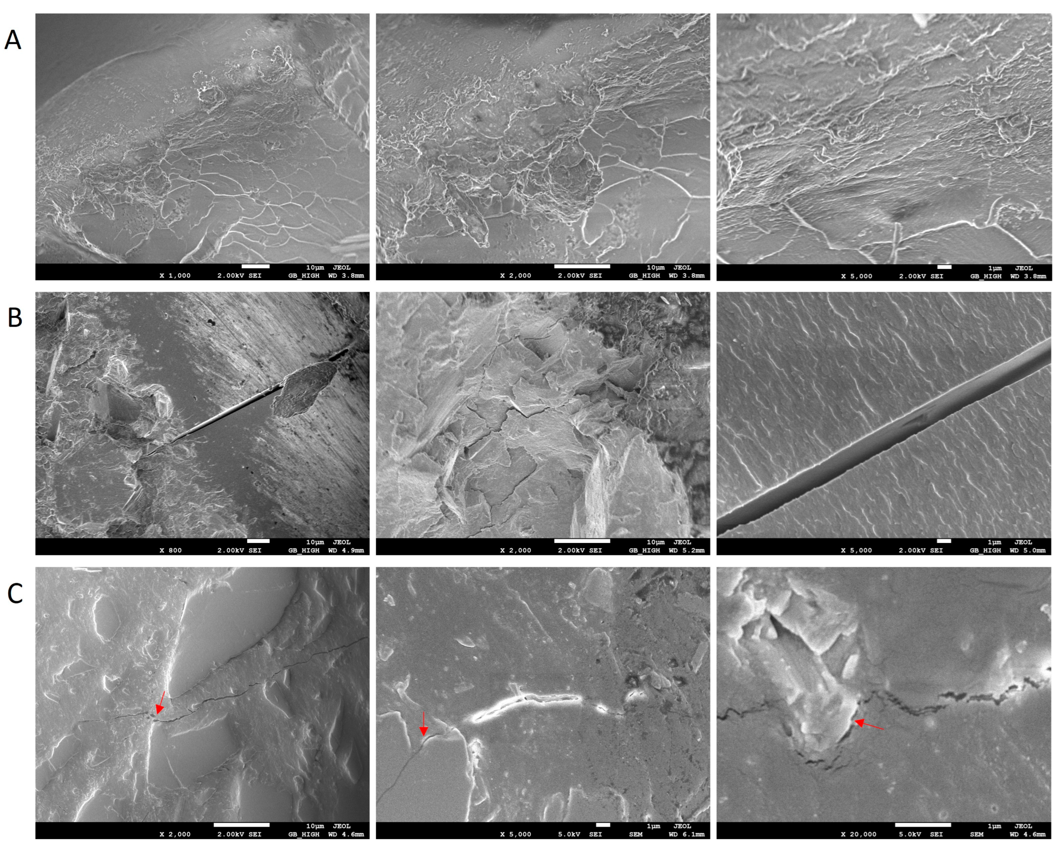 Polymers 15 02666 g008 Polymers 15 02666 g008
