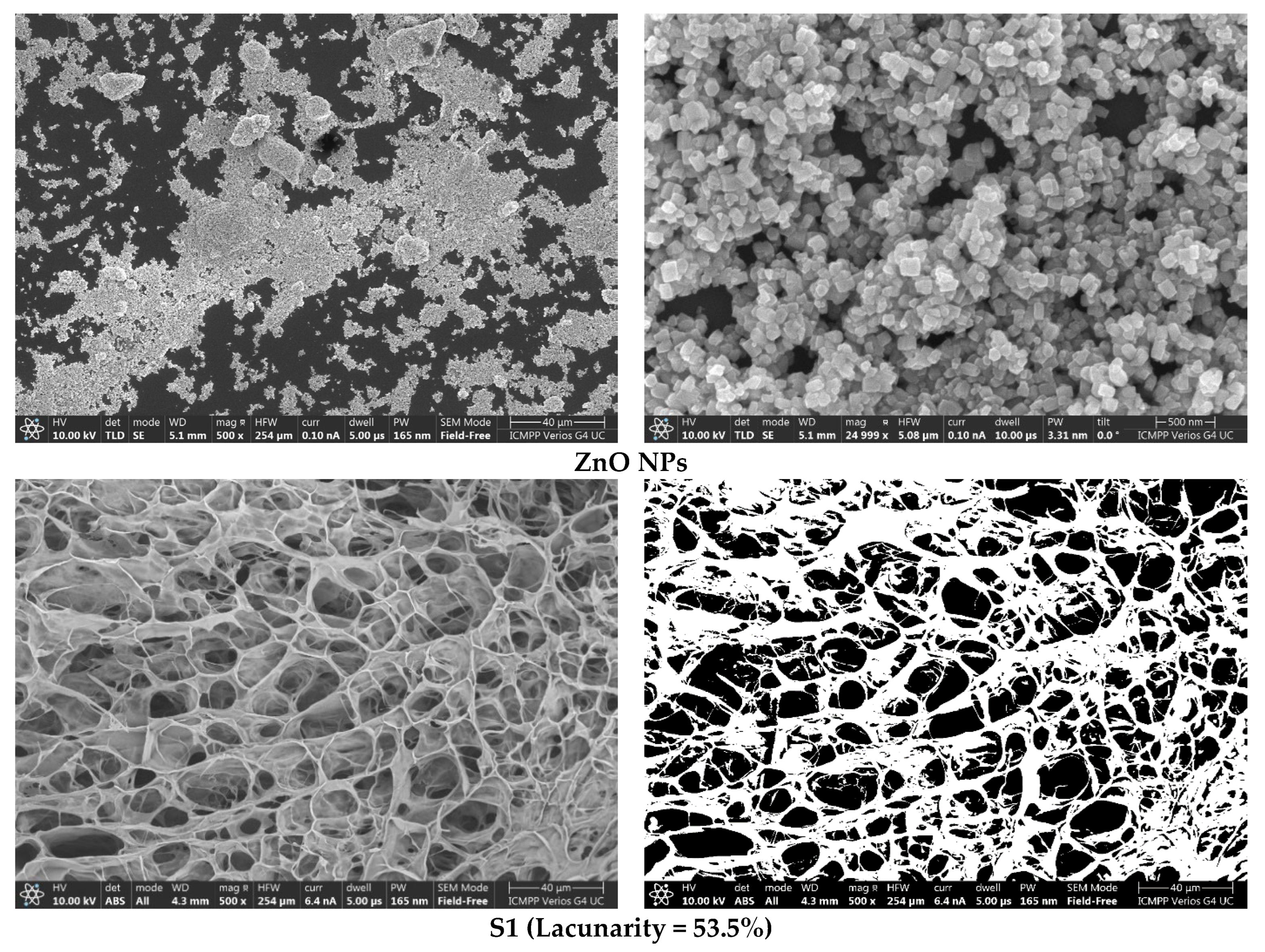 Polymers 15 02669 g003a Polymers 15 02669 g003a