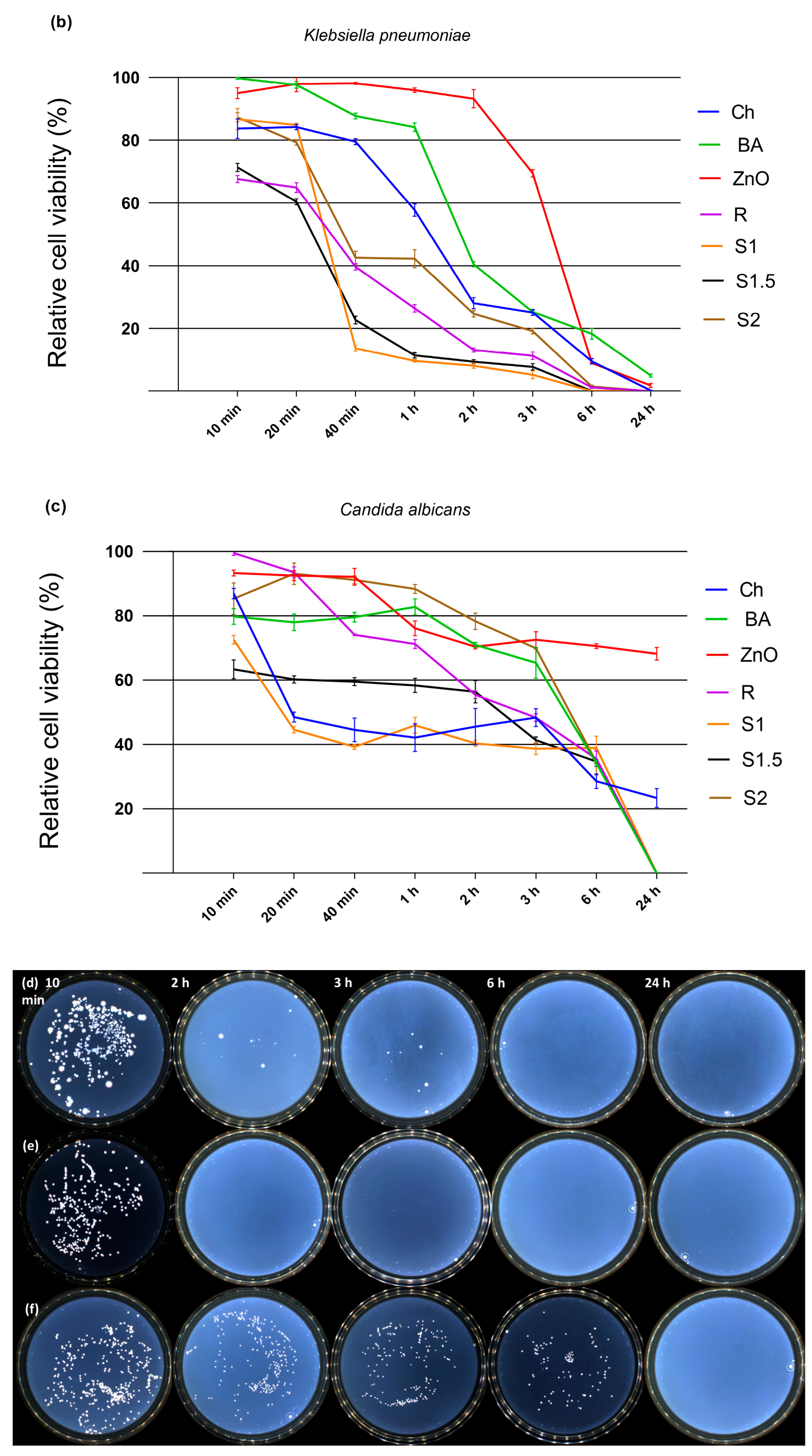 Polymers 15 02669 g006b Polymers 15 02669 g006b