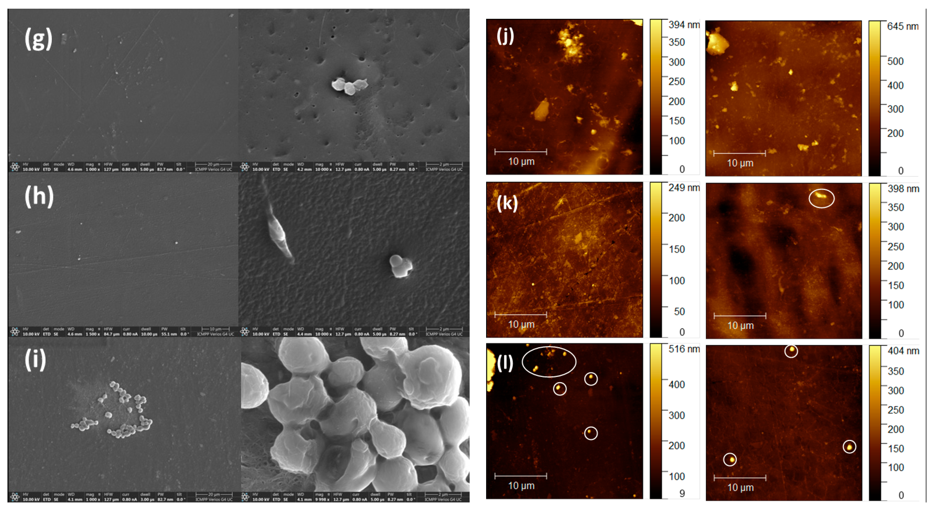 Polymers 15 02669 g006c Polymers 15 02669 g006c