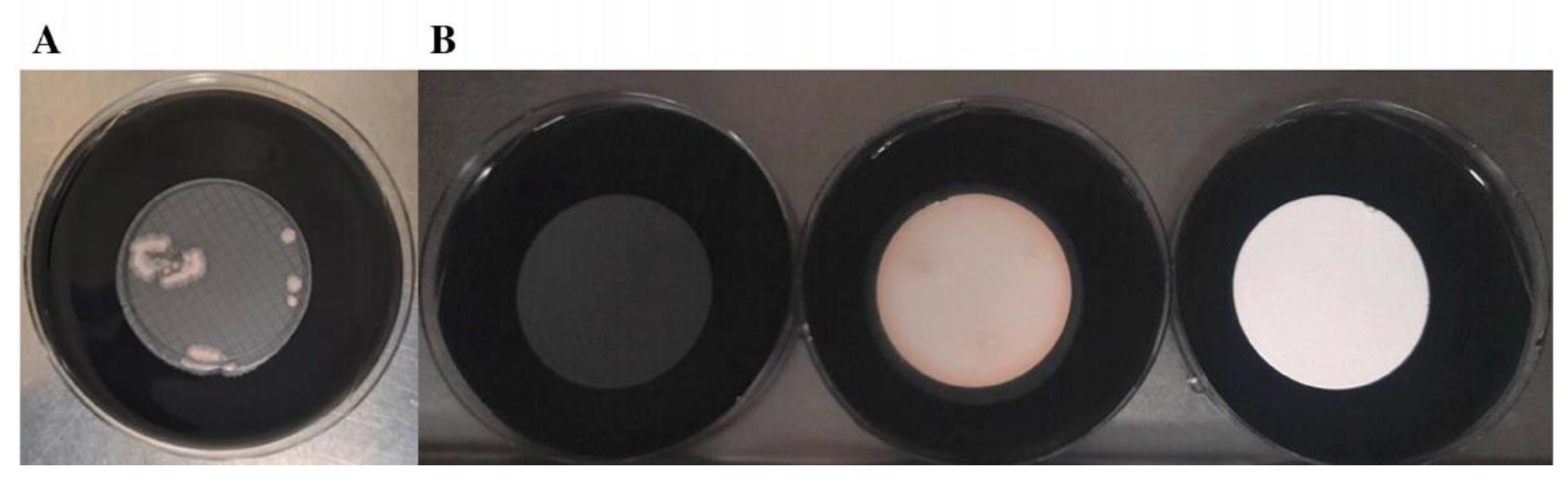 Polymers 15 02670 g004 Polymers 15 02670 g004