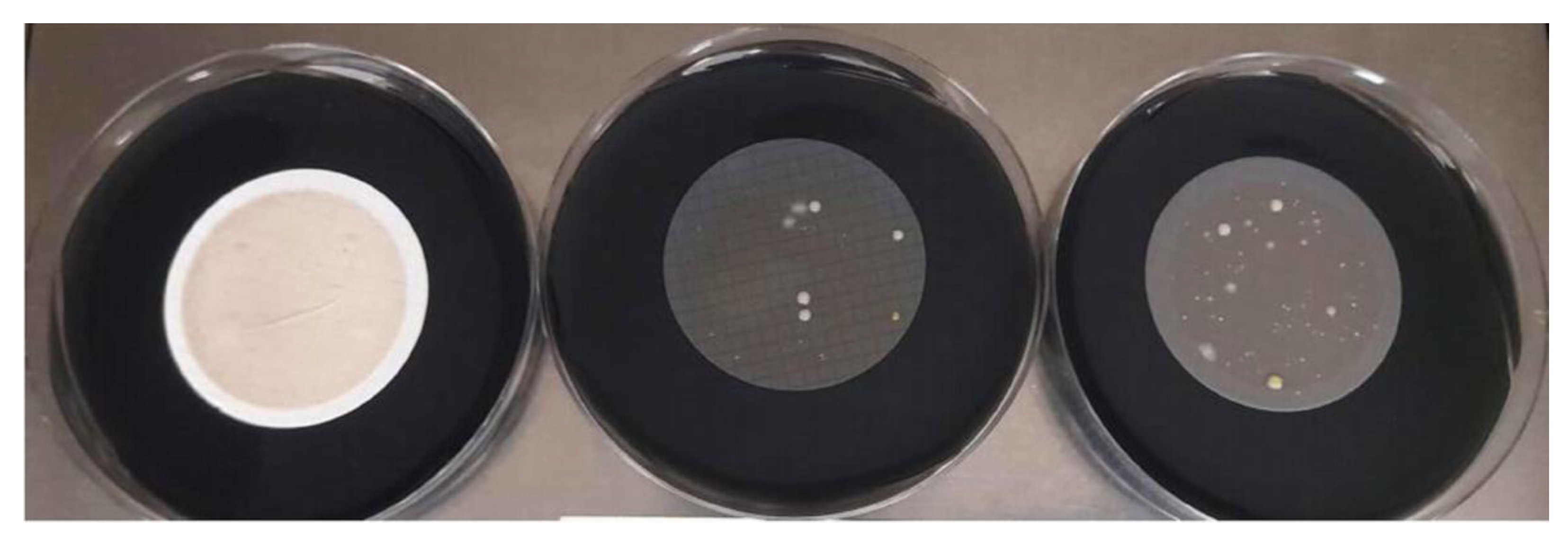 Polymers 15 02670 g006 Polymers 15 02670 g006