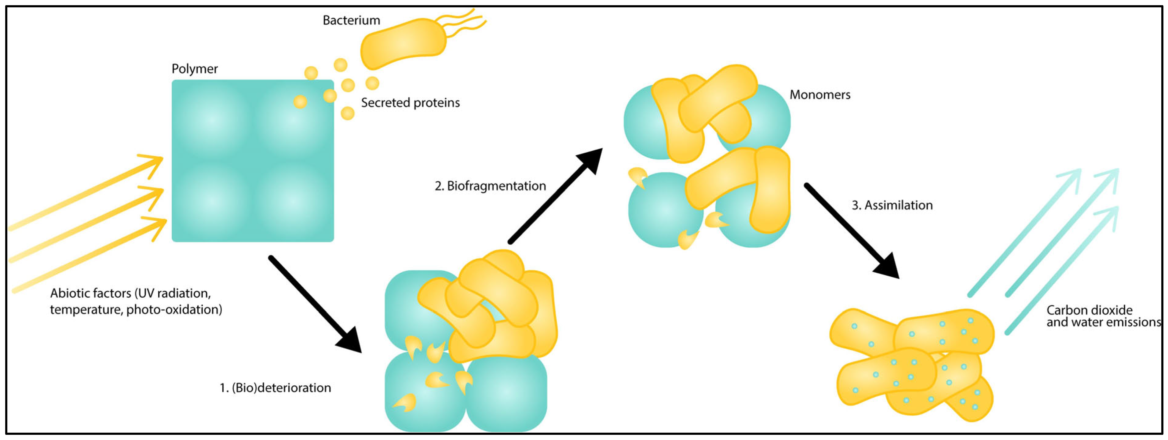 Polymers 15 02673 g001 Polymers 15 02673 g001