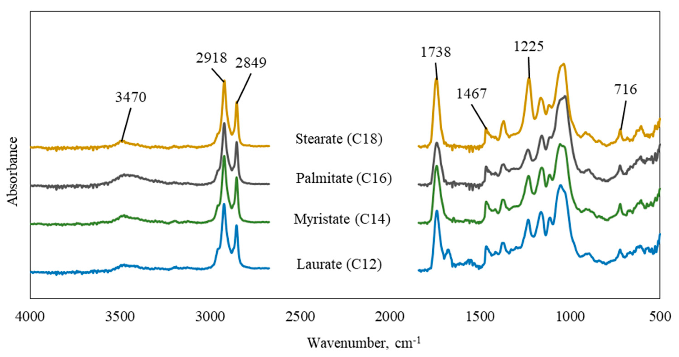 Polymers 15 02677 g002 Polymers 15 02677 g002