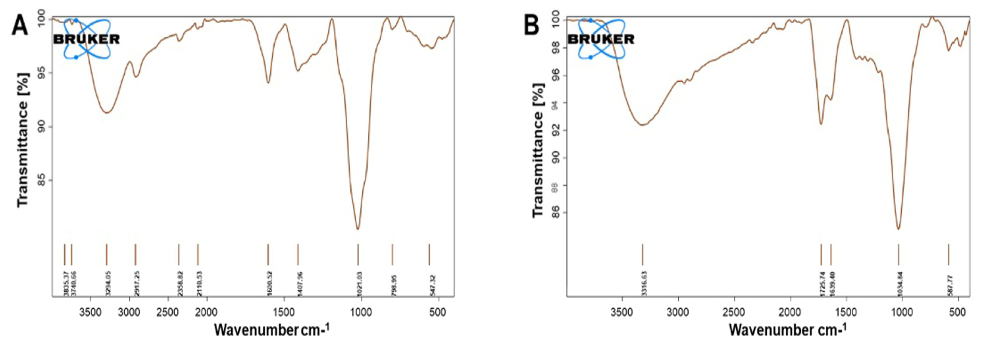 Polymers 15 02679 g003 Polymers 15 02679 g003