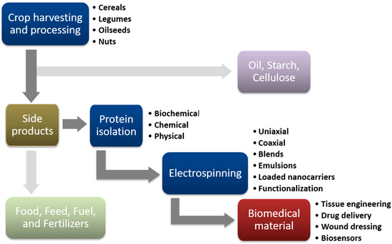 Agro-Industrial Plant Proteins in Electrospun Materials for Agro-Industrial Plant Proteins in Electrospun Materials for
