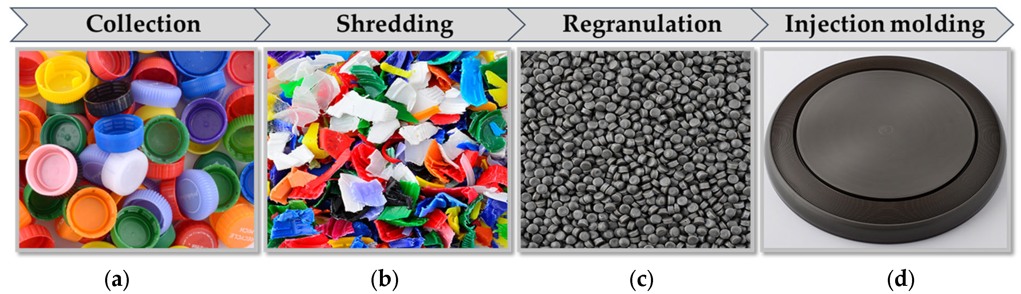 Polymers 15 02685 g002