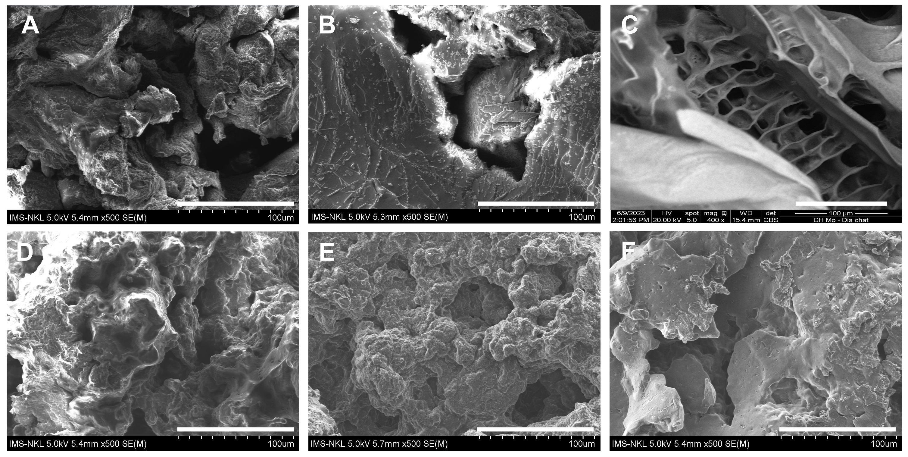 Polymers 15 02693 g007
