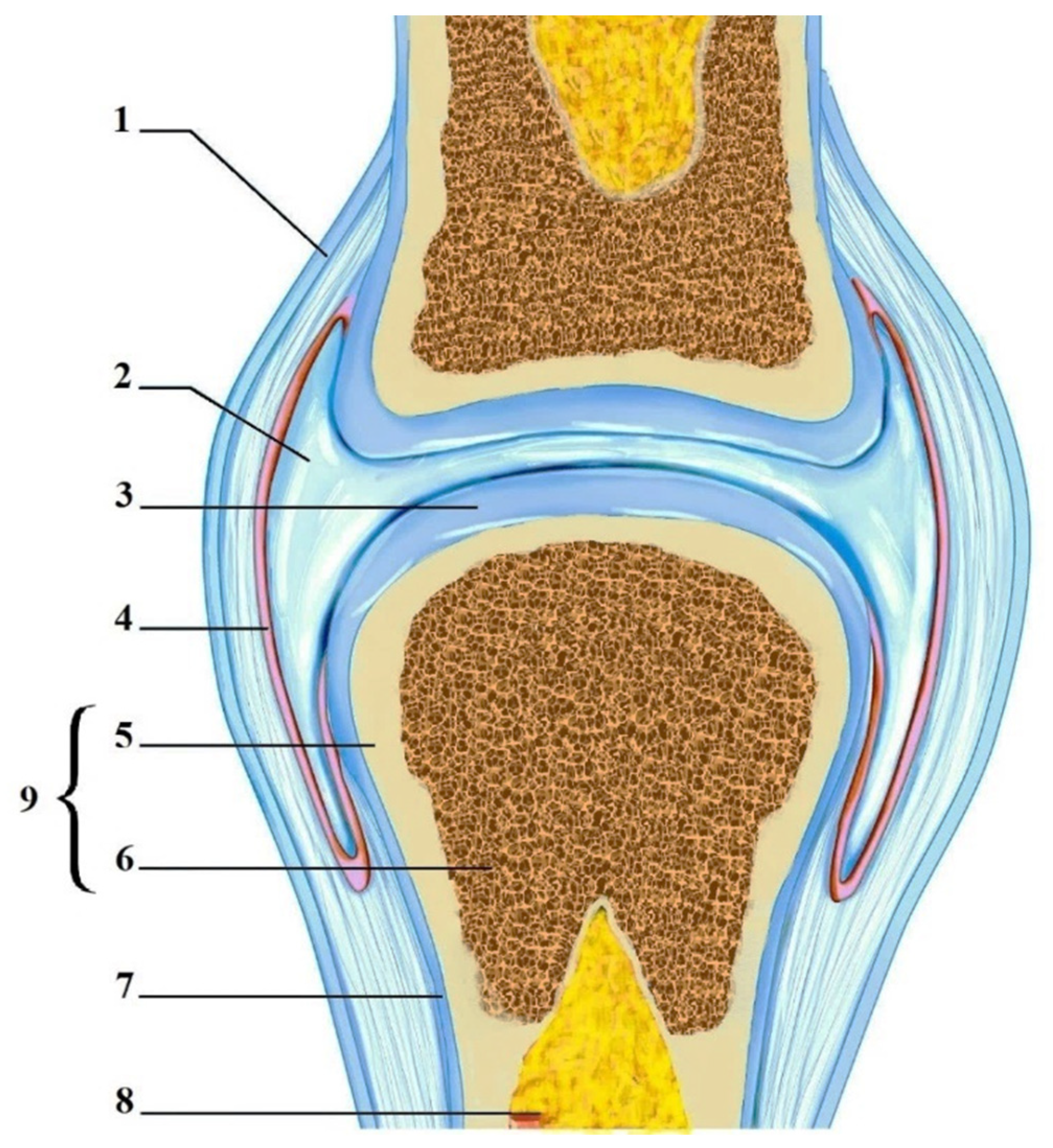 Polymers 15 02695 g001 Polymers 15 02695 g001