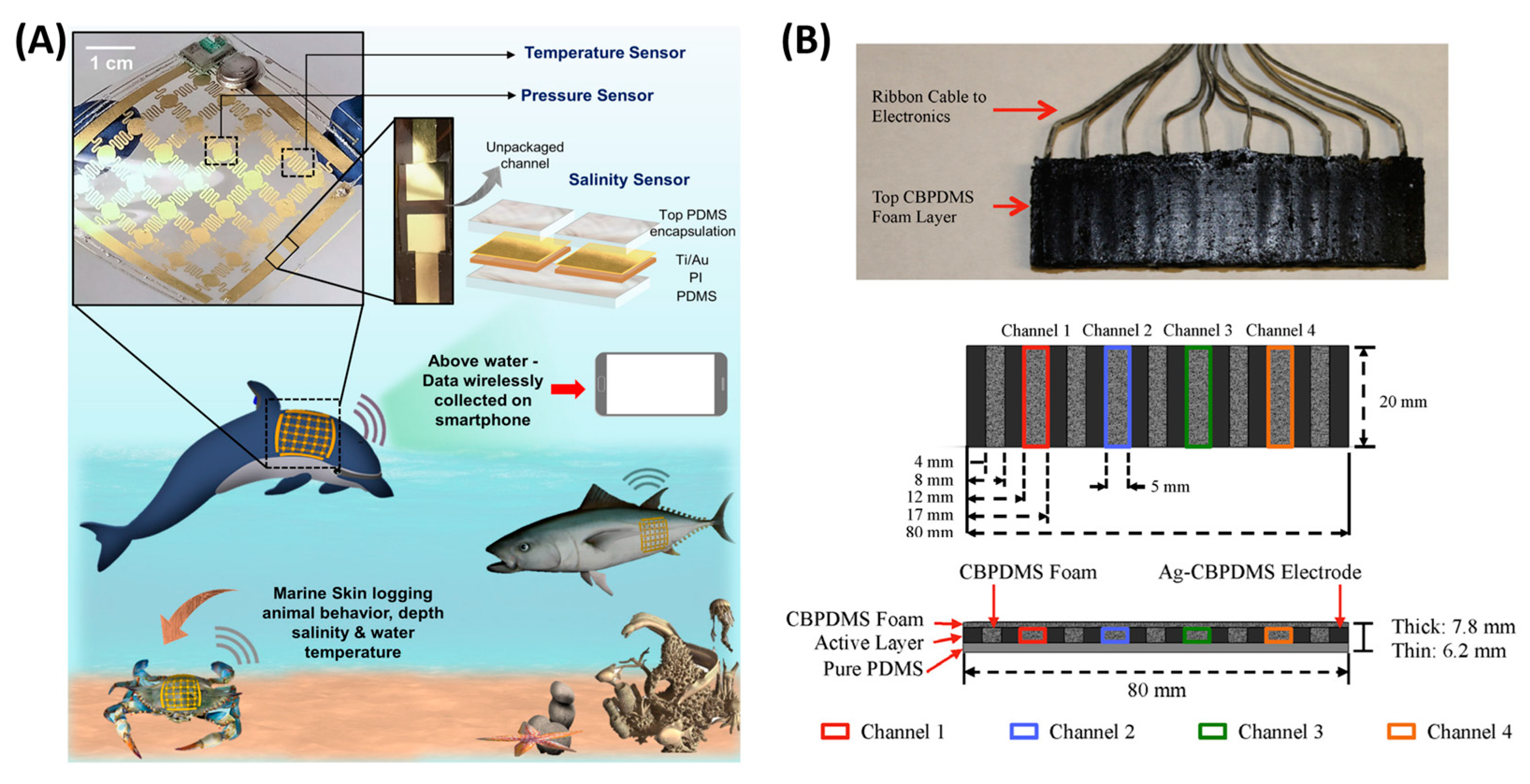 Polymers 15 02699 g011