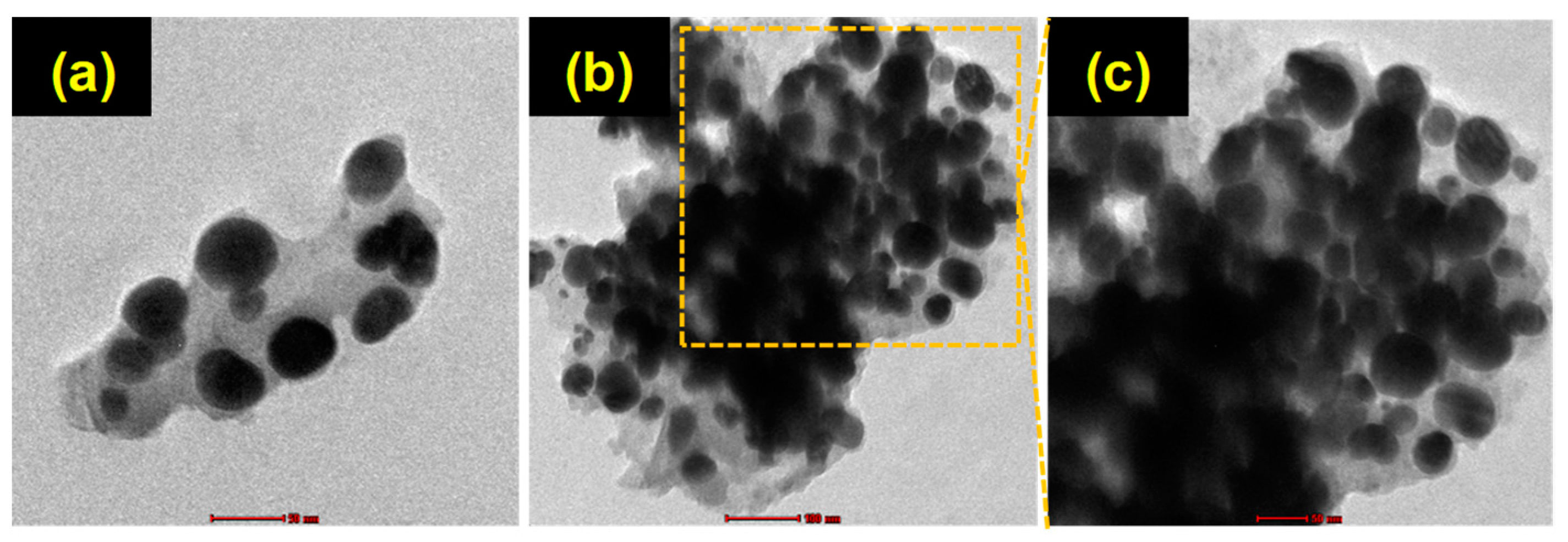 Polymers 15 02700 g004