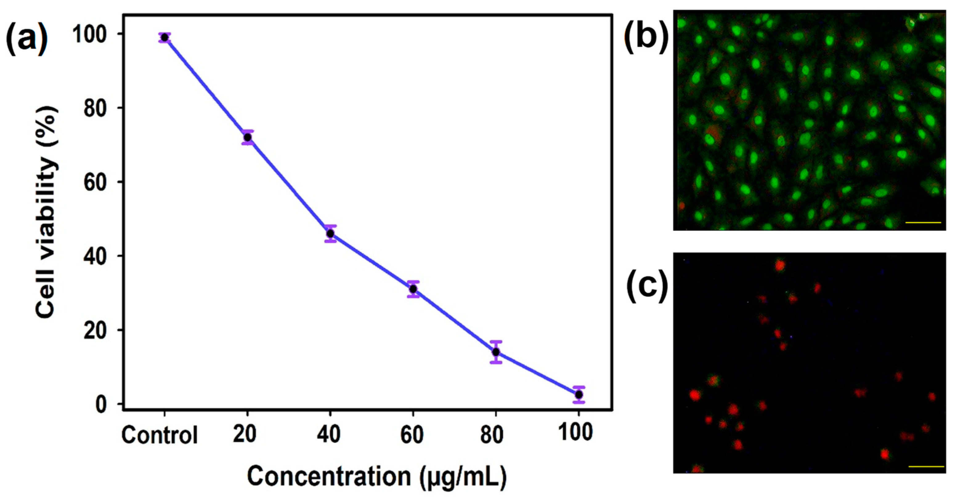 Polymers 15 02700 g007