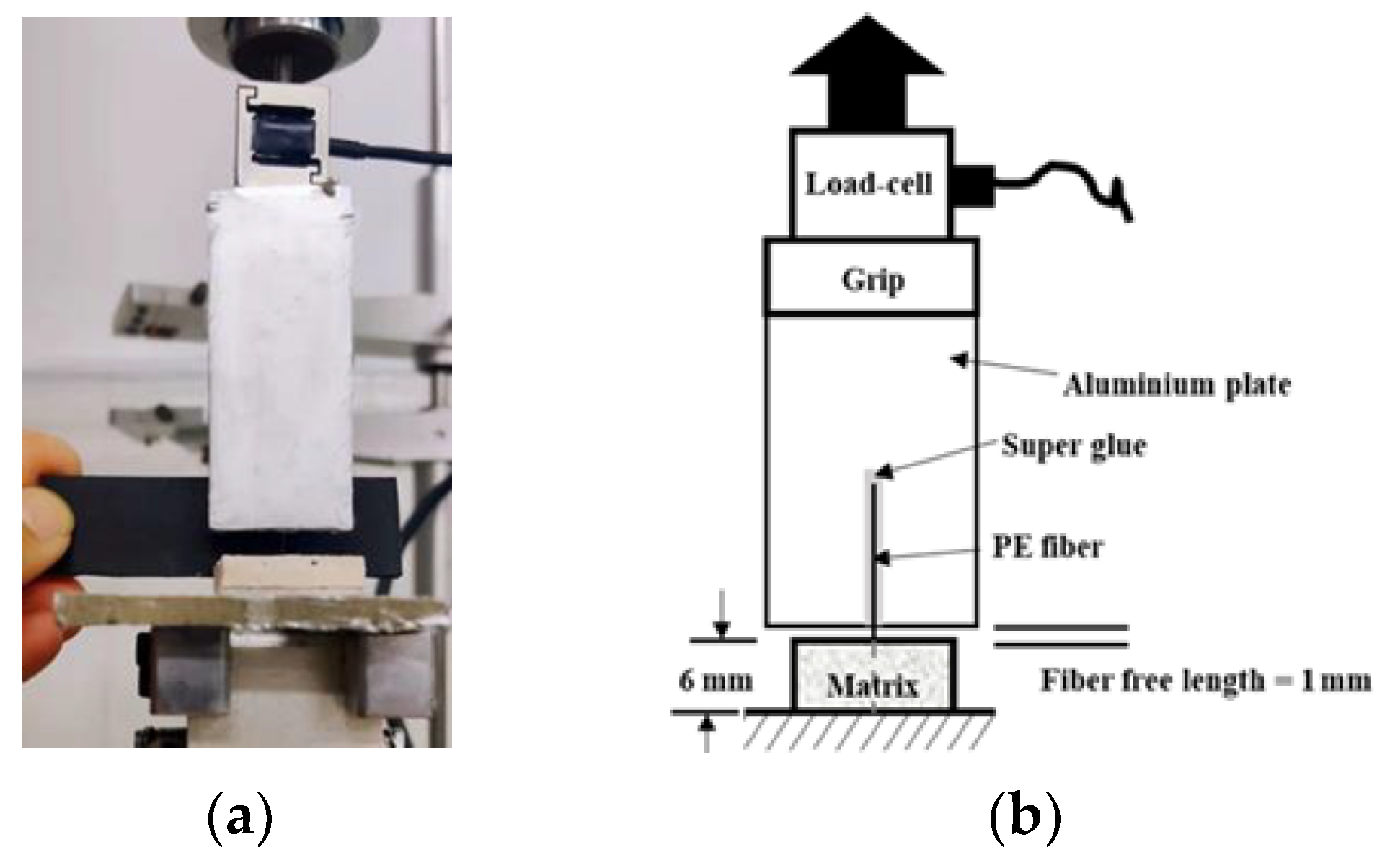Polymers 15 02701 g005