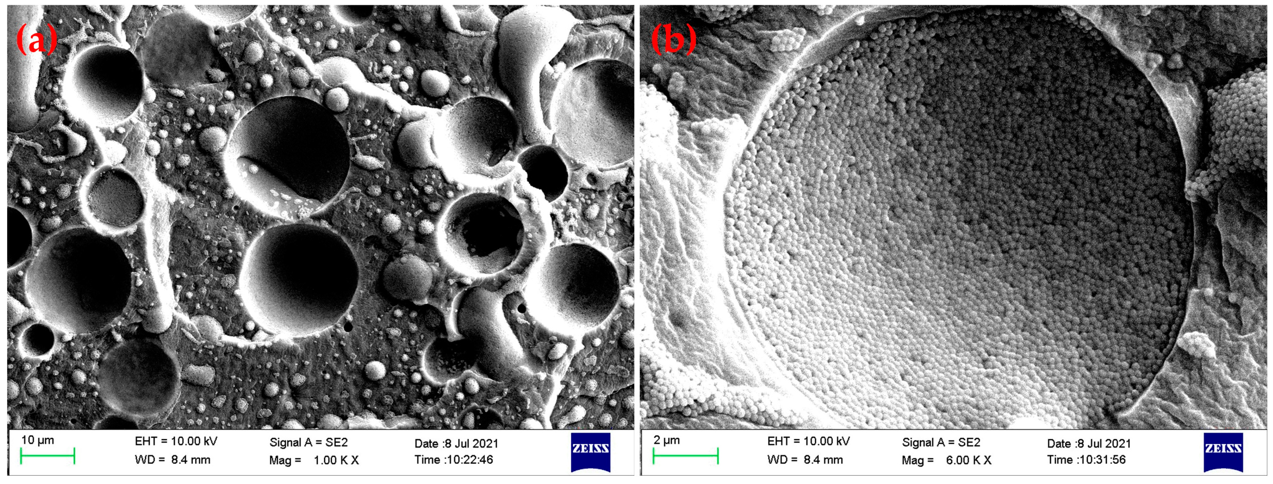 Polymers 15 02704 g005 Polymers 15 02704 g005