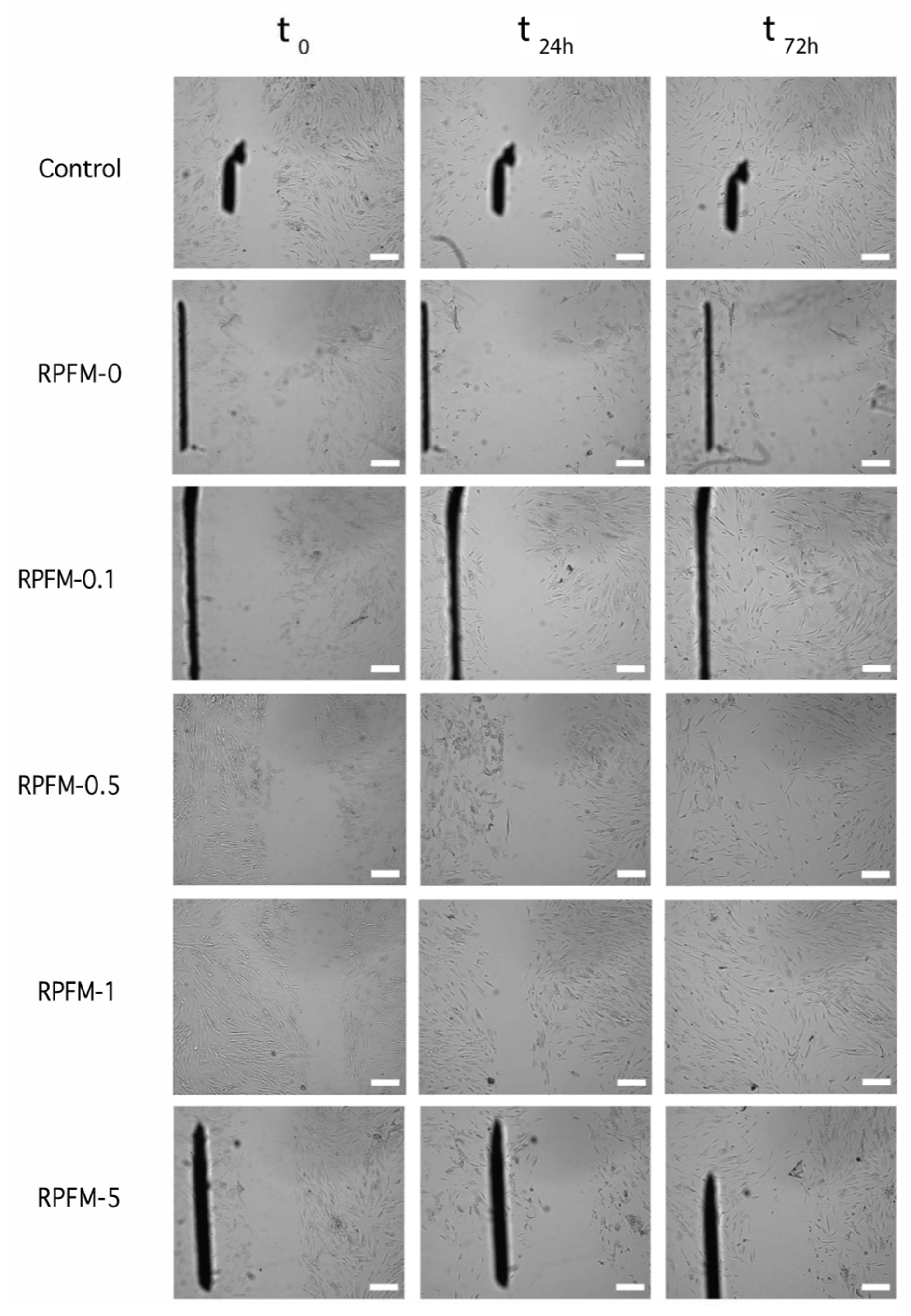 Polymers 15 02705 g011 Polymers 15 02705 g011
