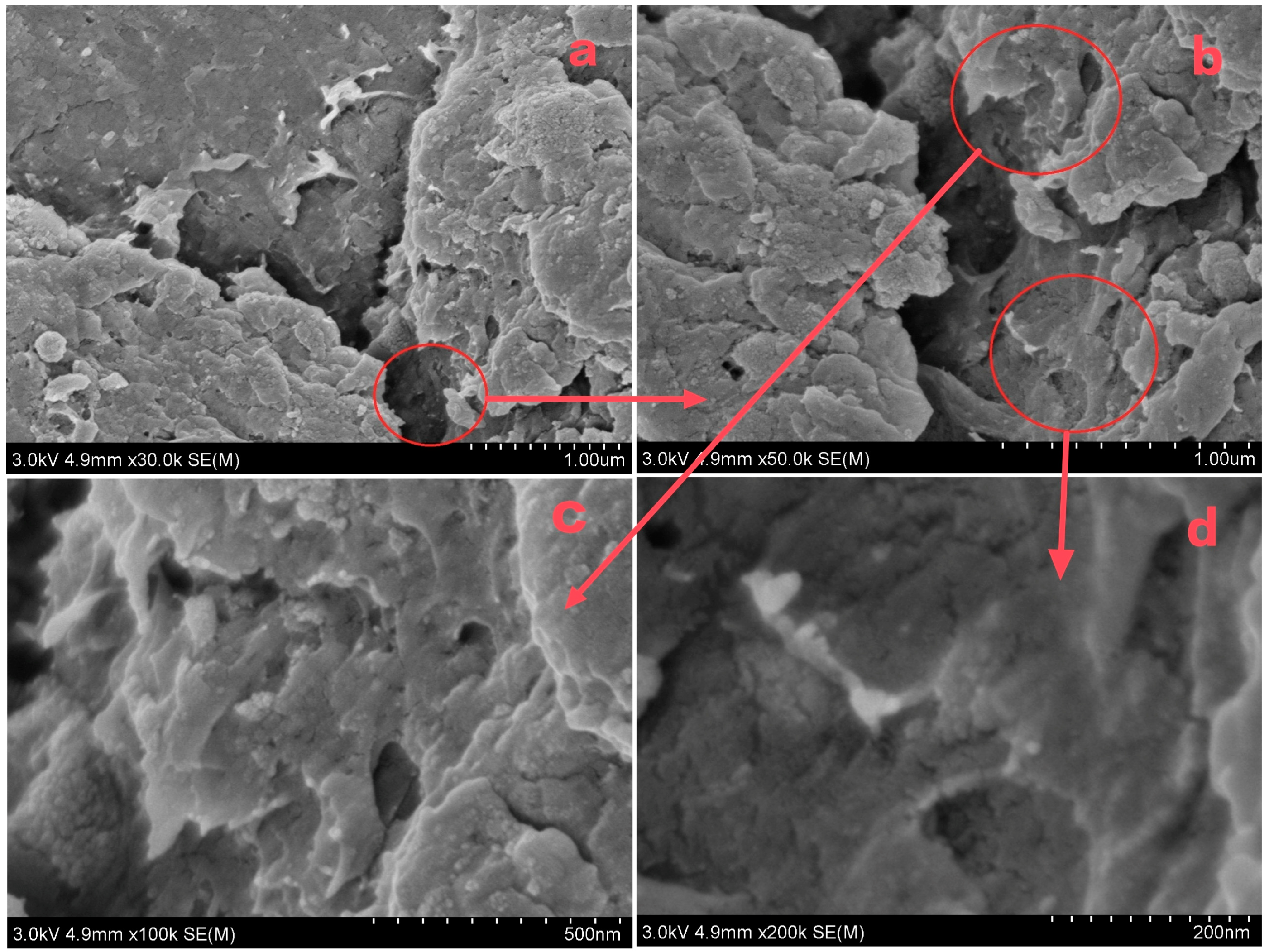 Polymers 15 02710 g003