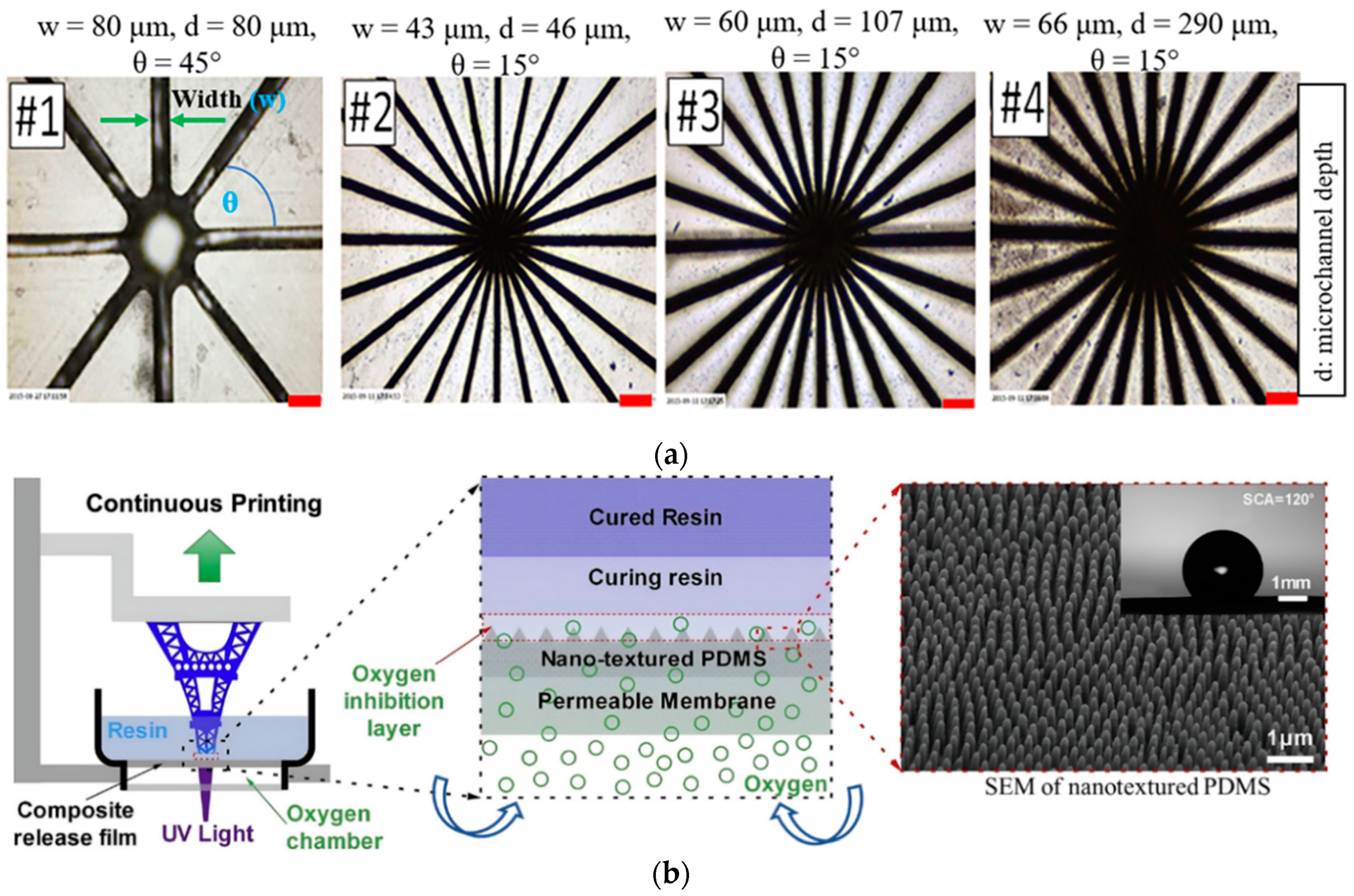 Polymers 15 02716 g013 Polymers 15 02716 g013