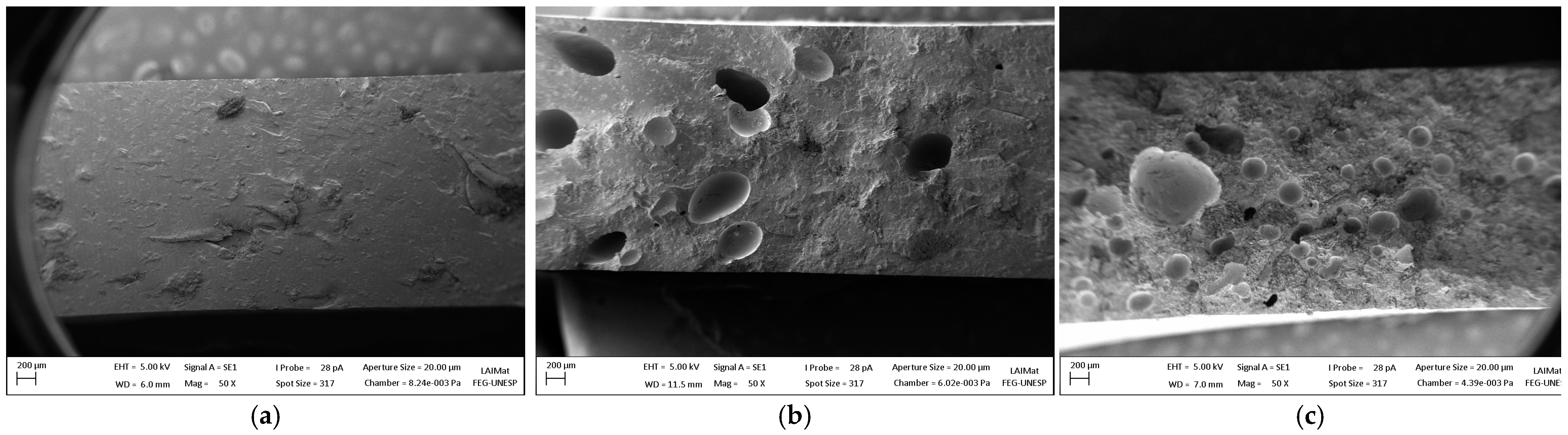 Polymers 15 02719 g009