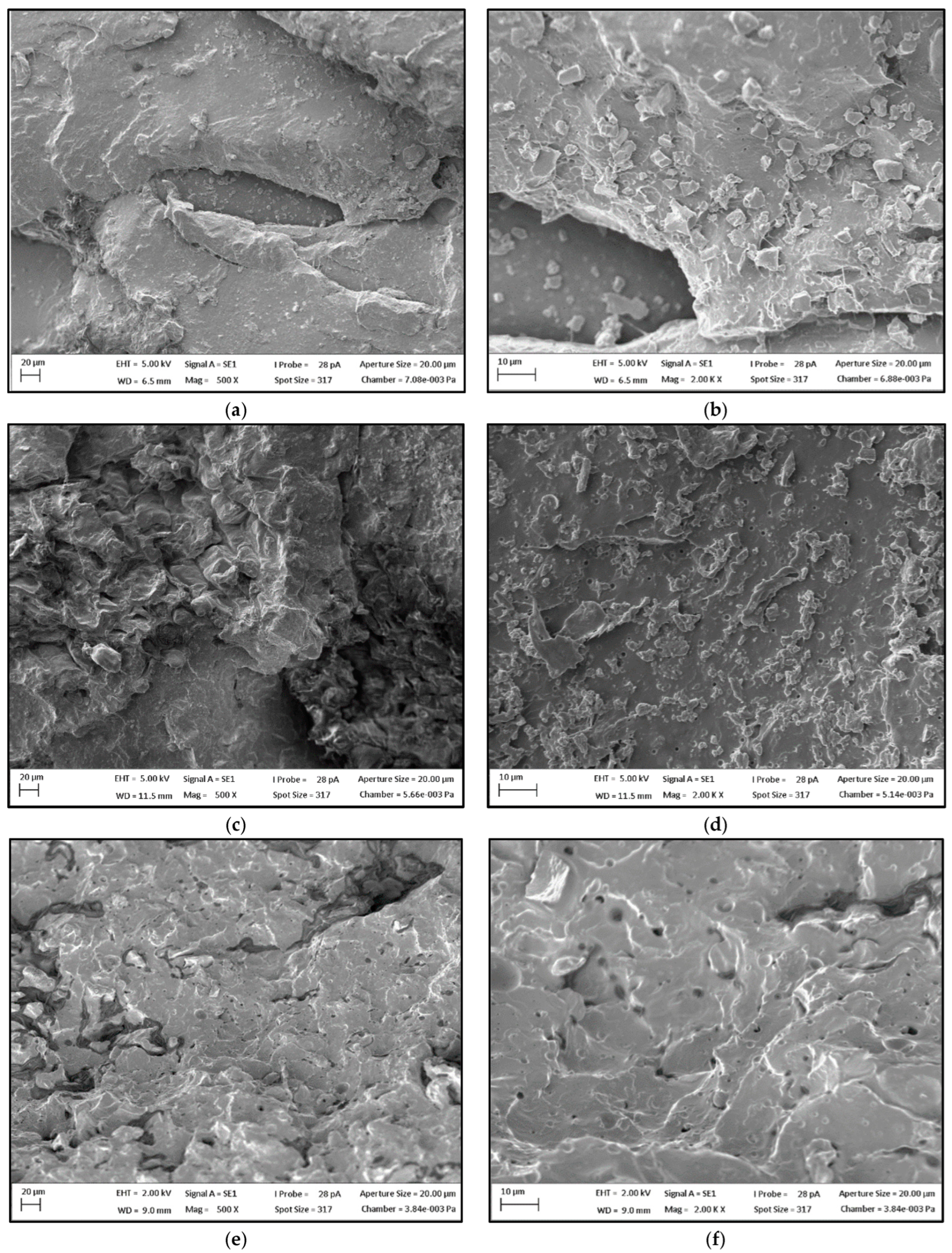 Polymers 15 02719 g010