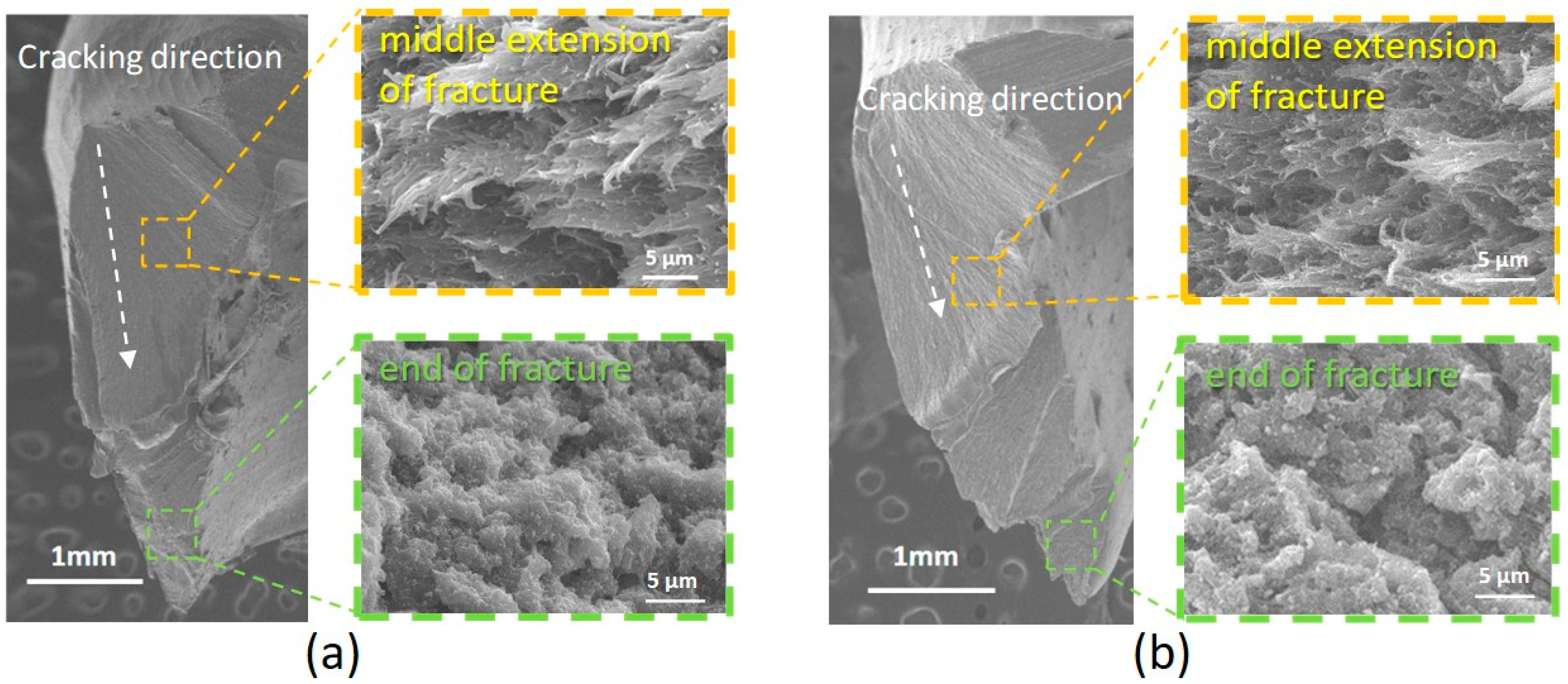 Polymers 15 02720 g006