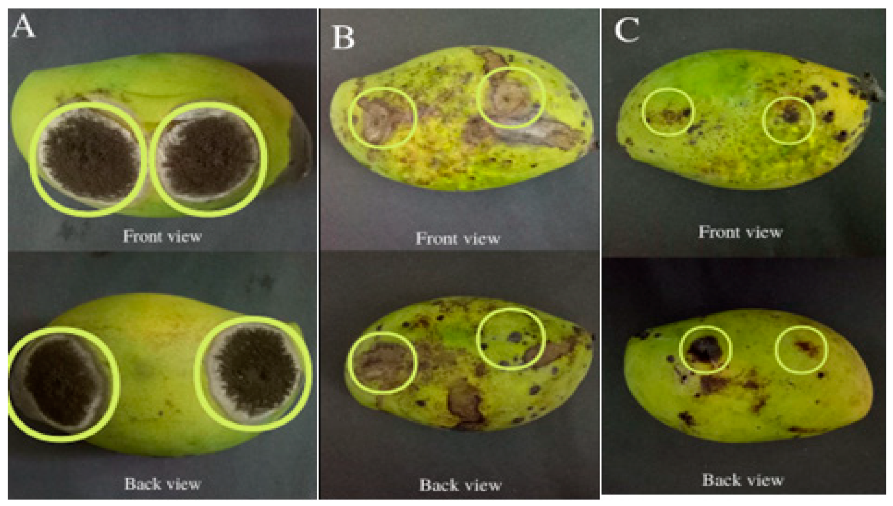 Polymers 15 02722 g006 Polymers 15 02722 g006