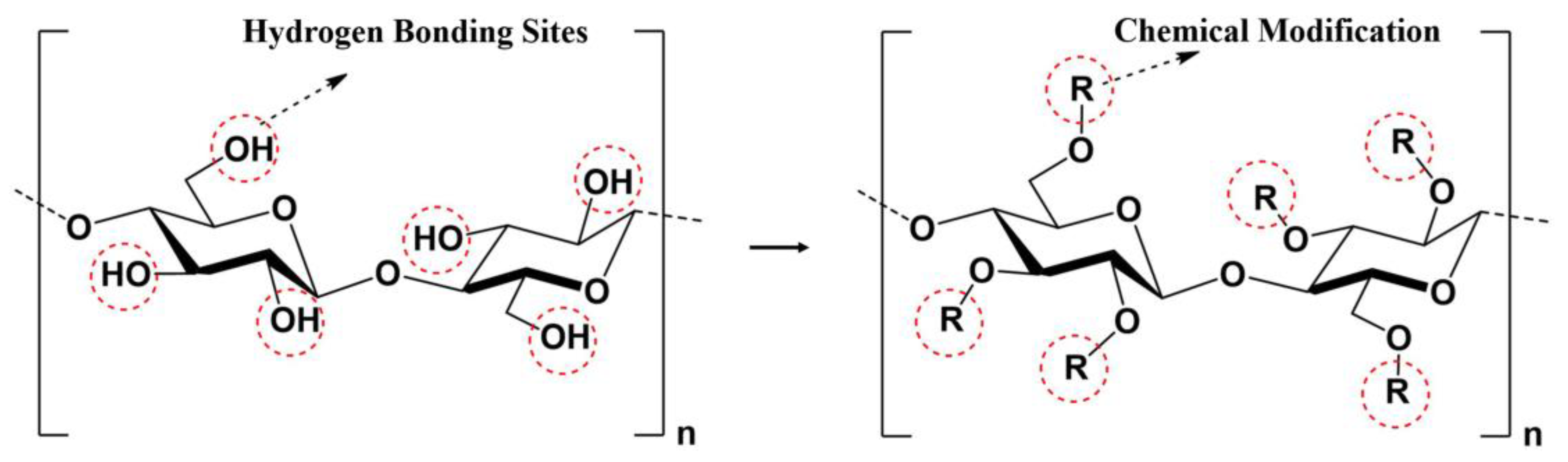 Polymers 15 02727 g002