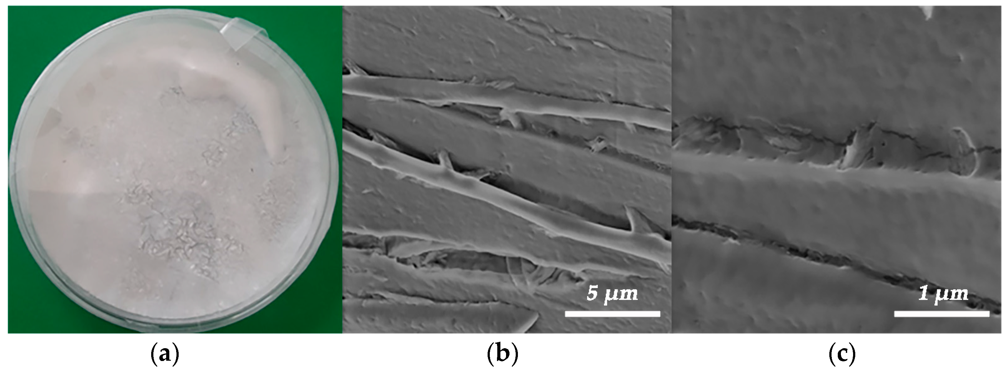 Polymers 15 02729 g005 Polymers 15 02729 g005