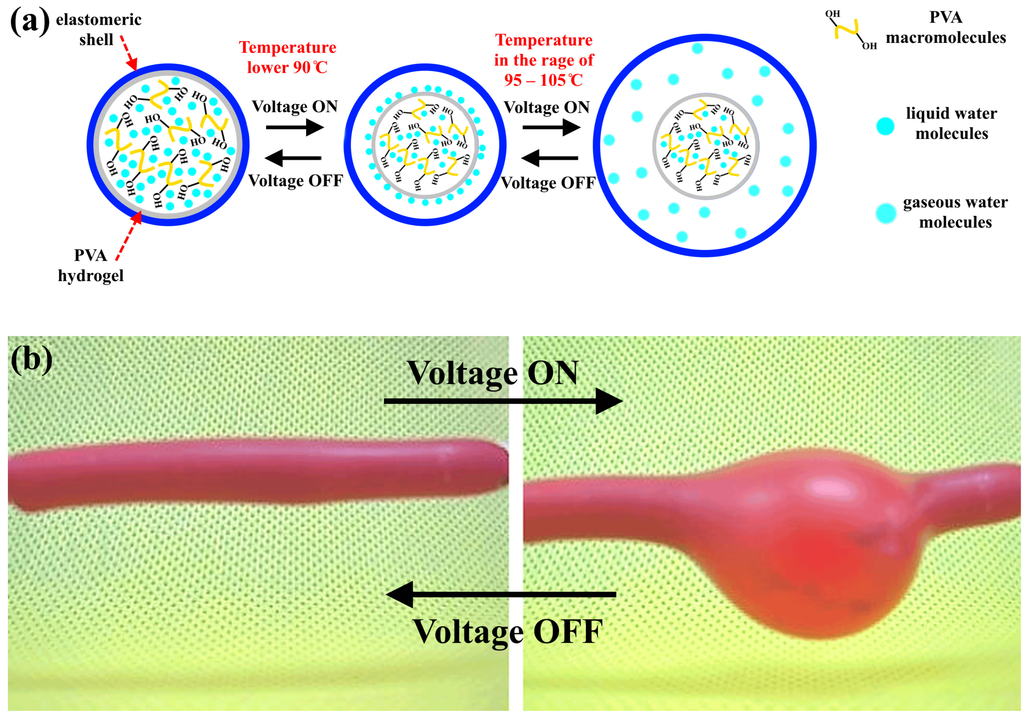 Polymers 15 02739 g005