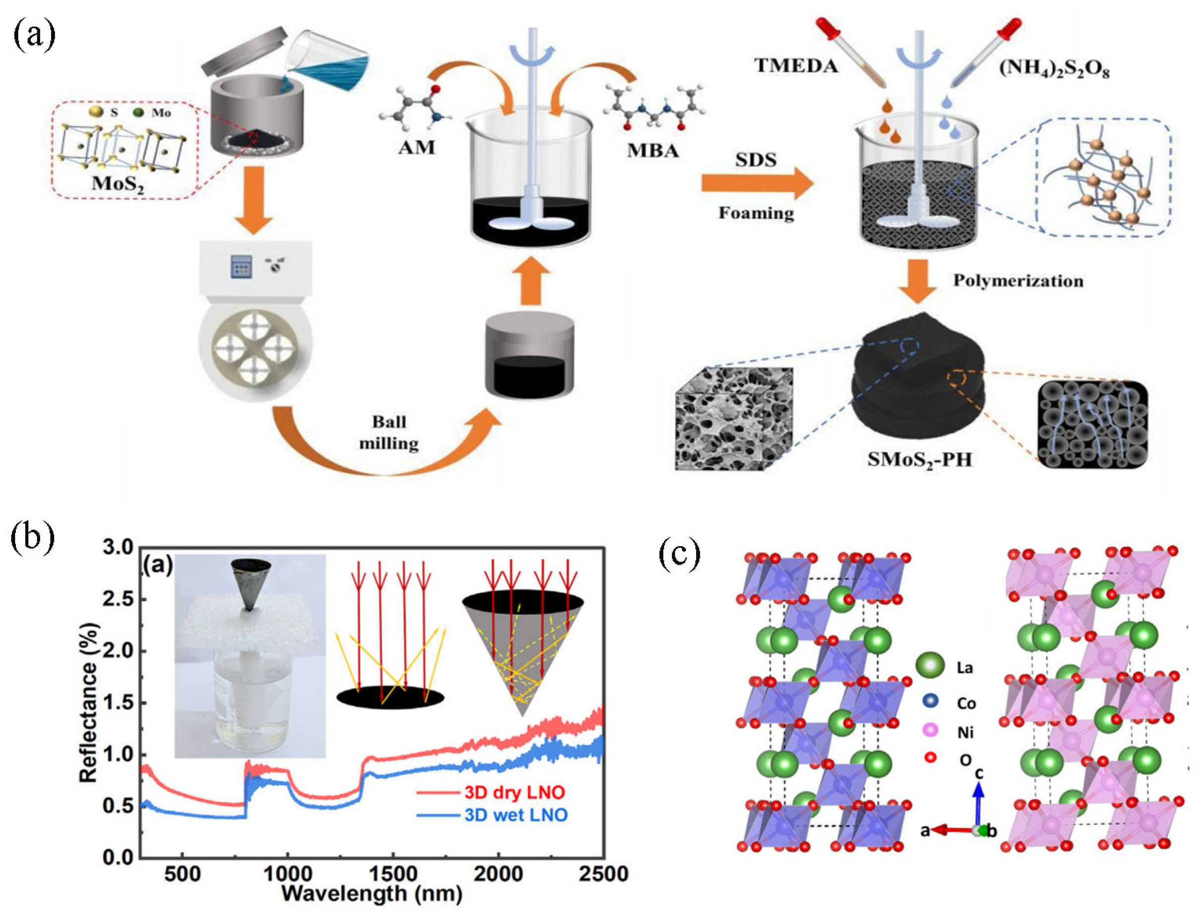 Polymers 15 02742 g005